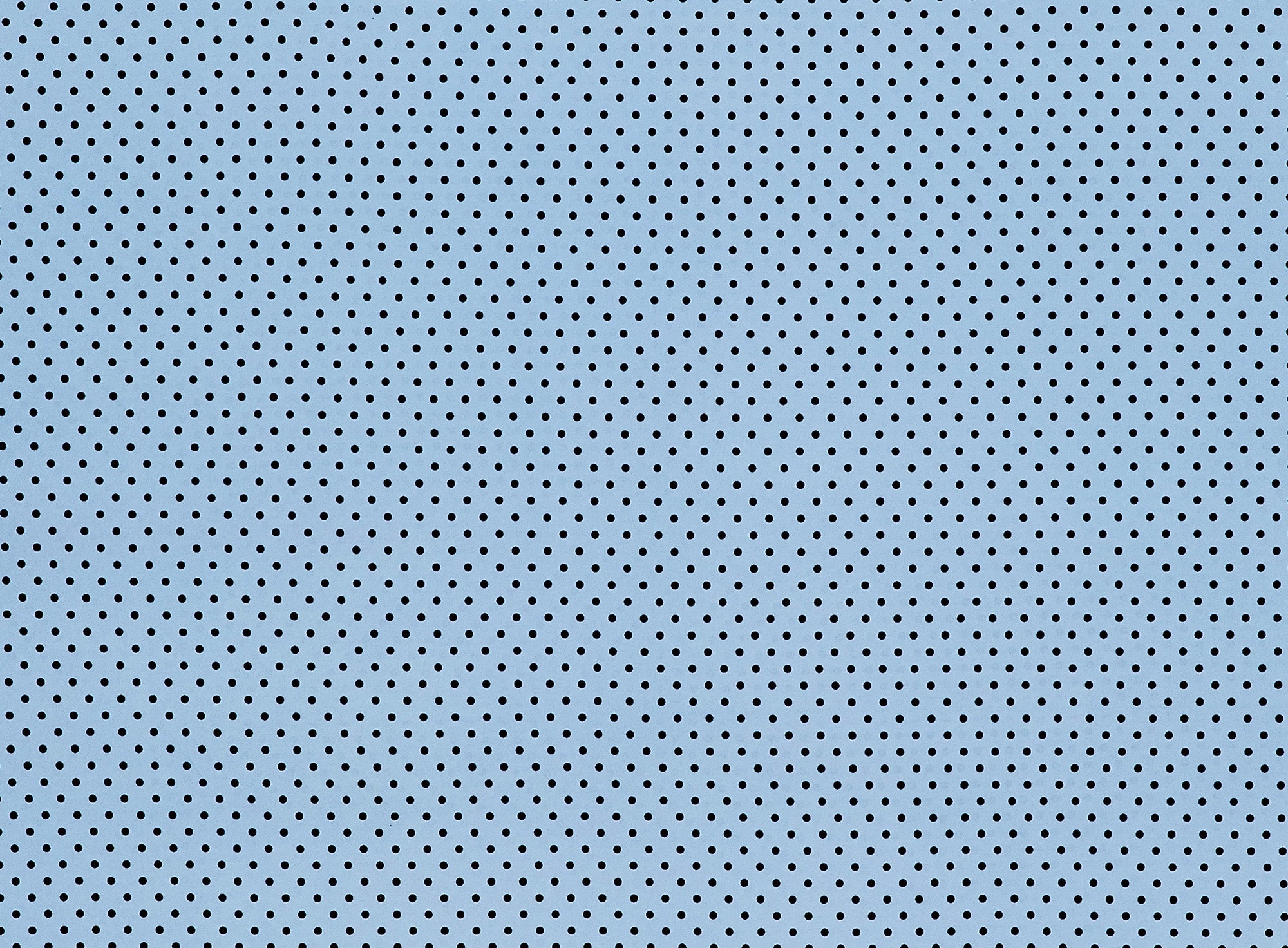 #color_BLUE ANGEL