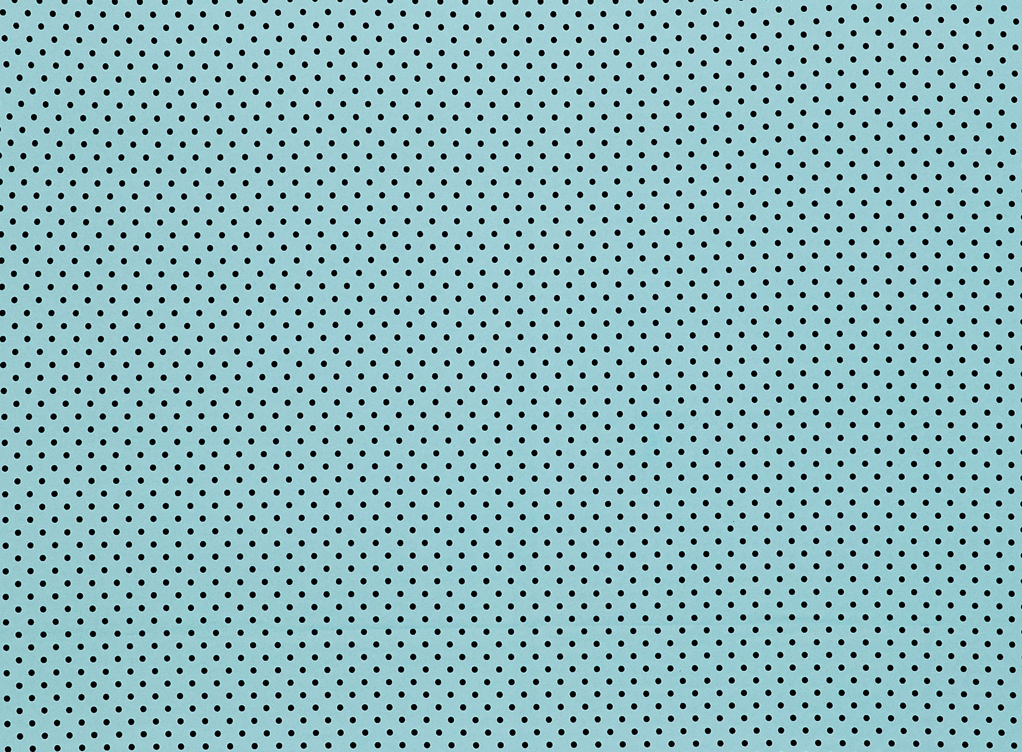 #color_MINT ANGEL