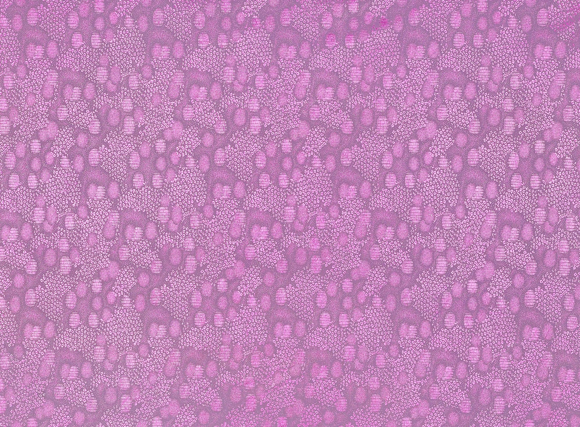 #color_FUCHSIA