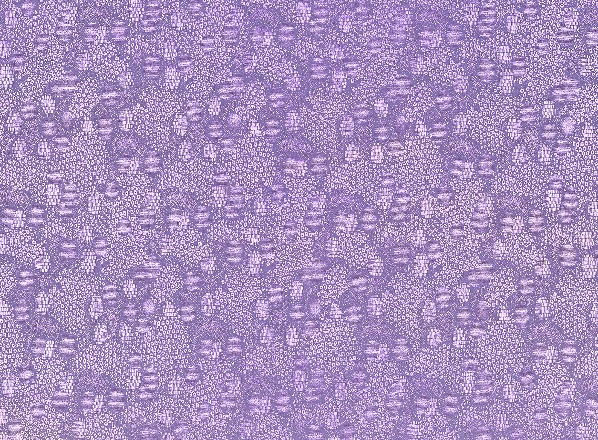 #color_PURPLE