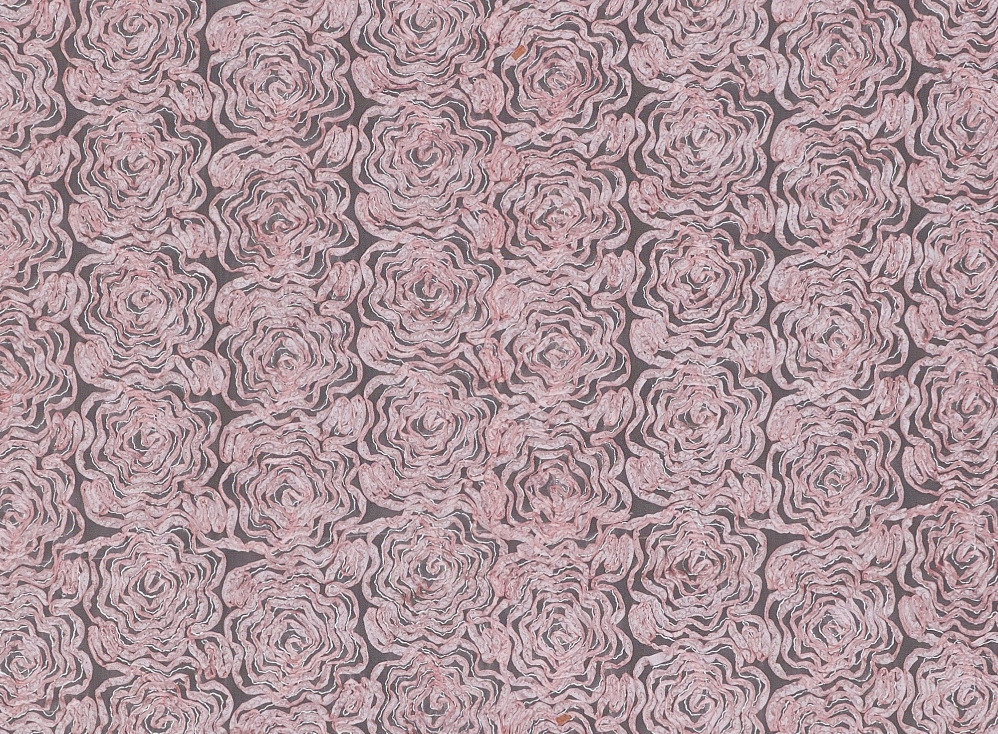 #color_ROSE