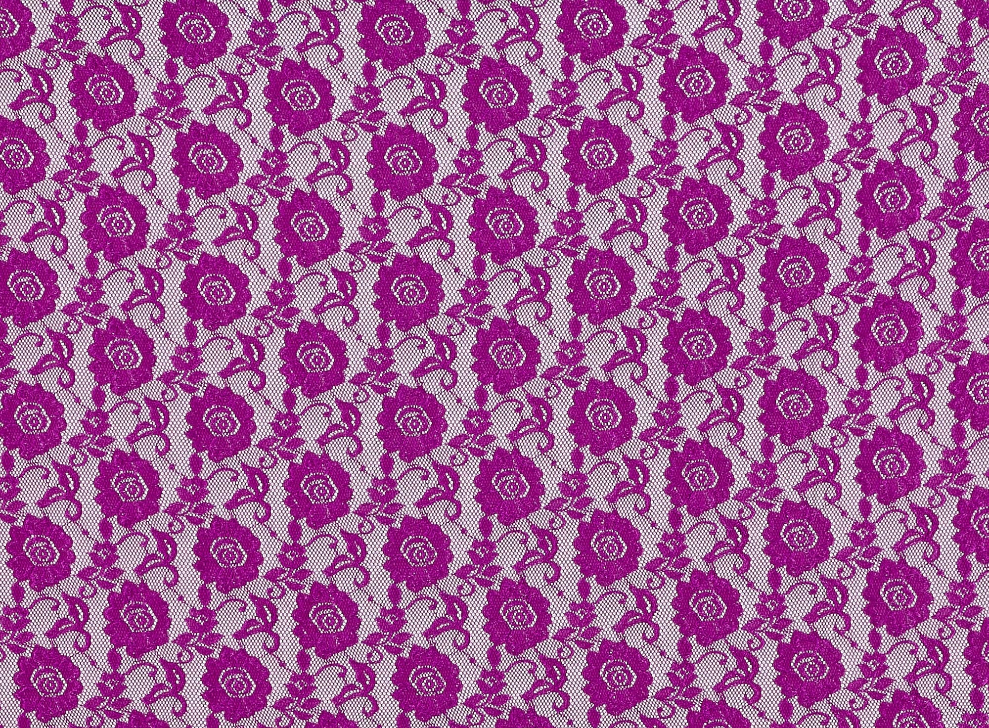 #color_FUCHSIA BLOOM