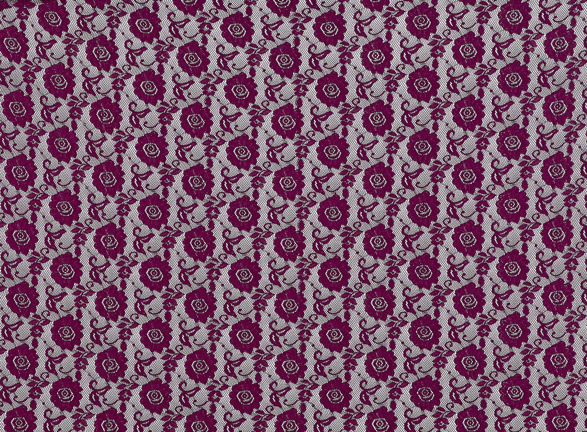 #color_WINE BLOOM