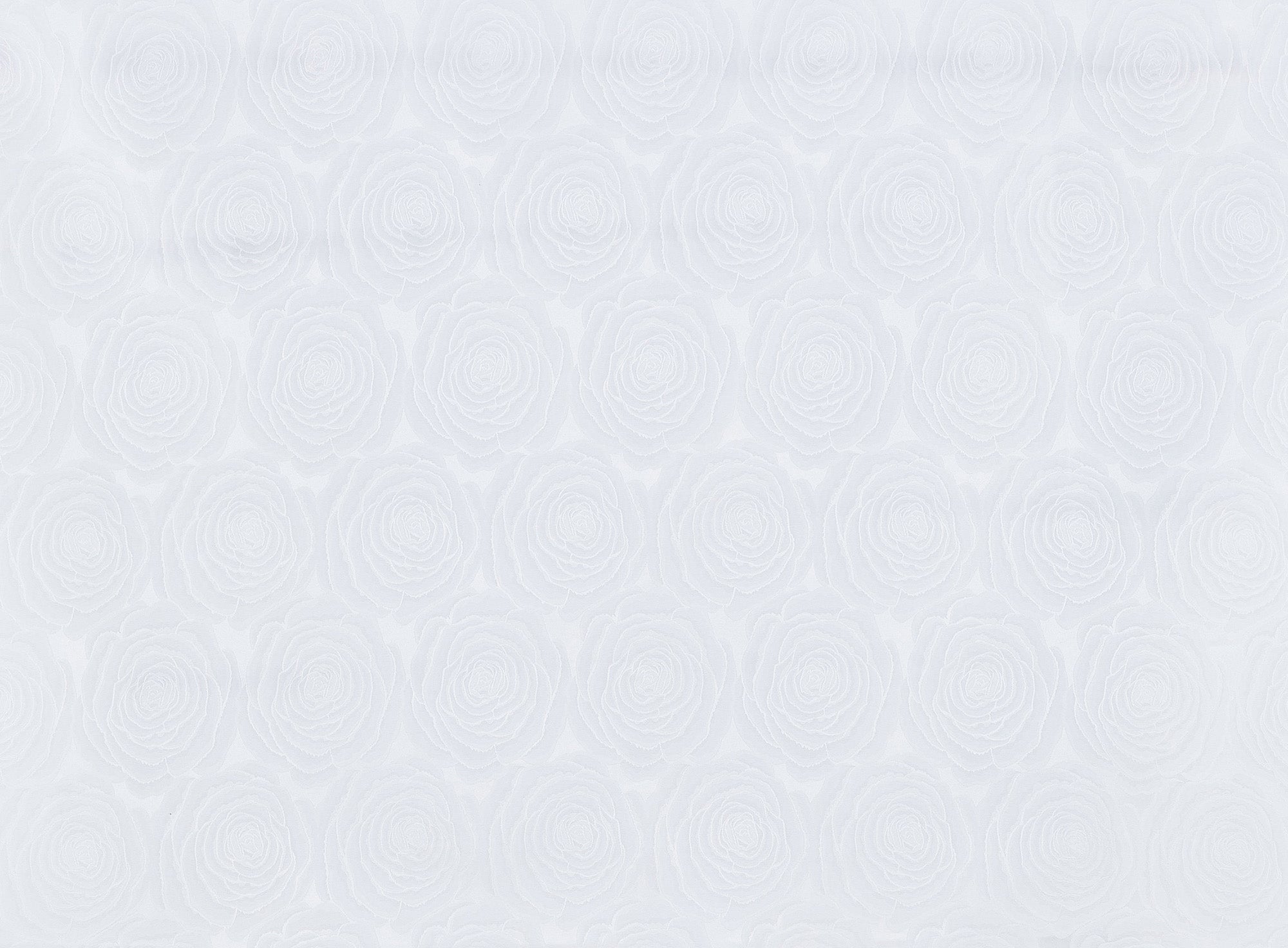 #color_WHITE