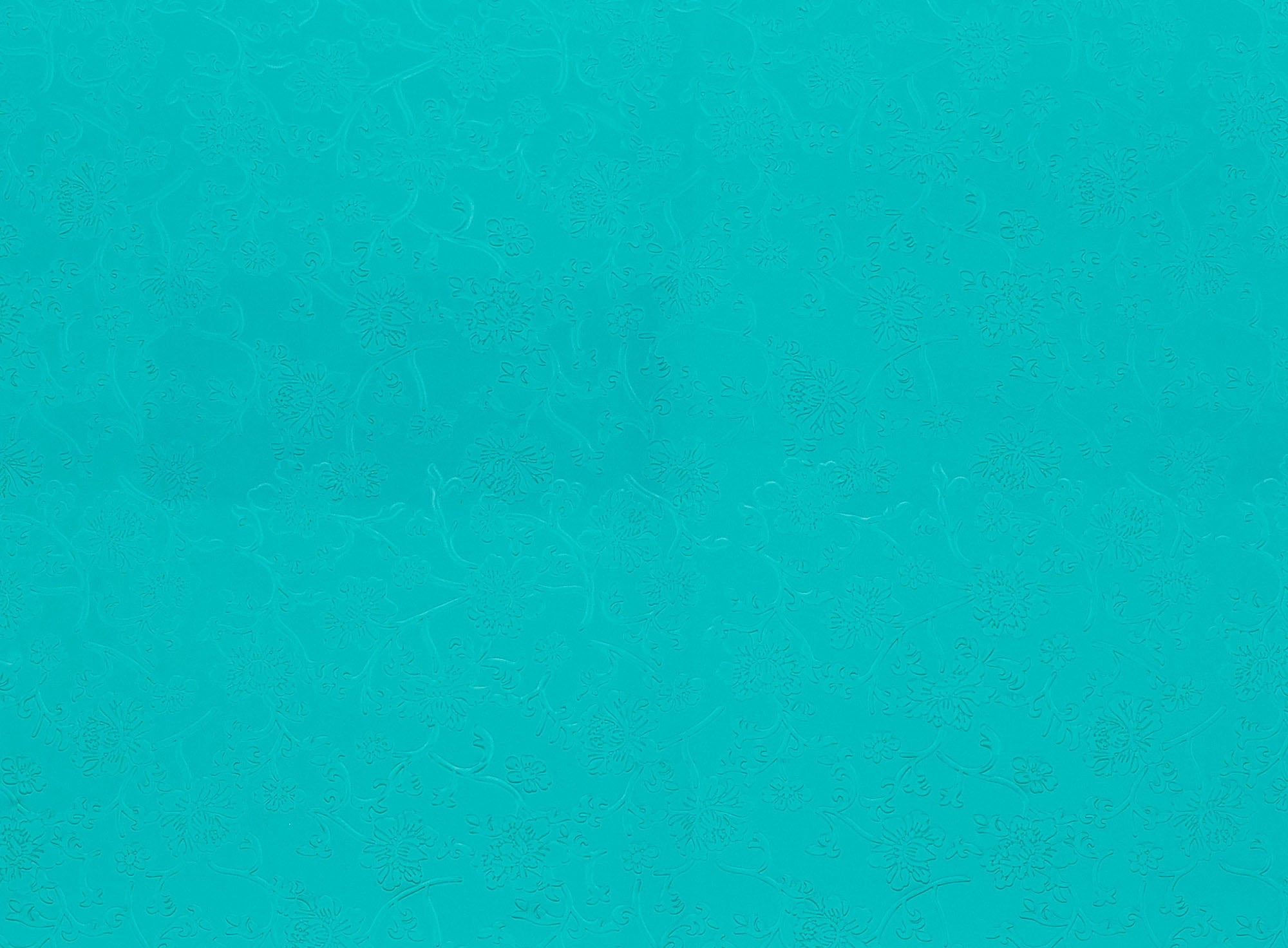 #color_DARK MINT