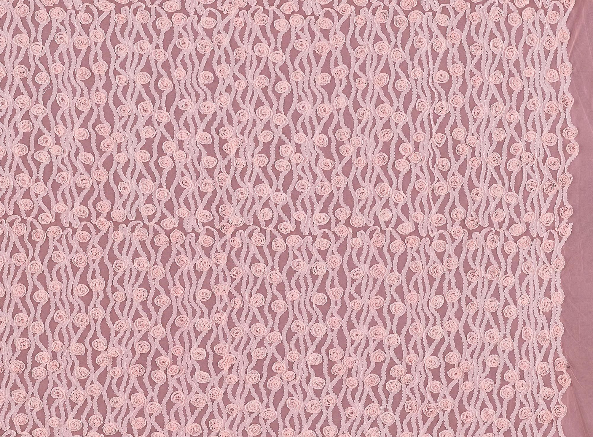 #color_CORAL