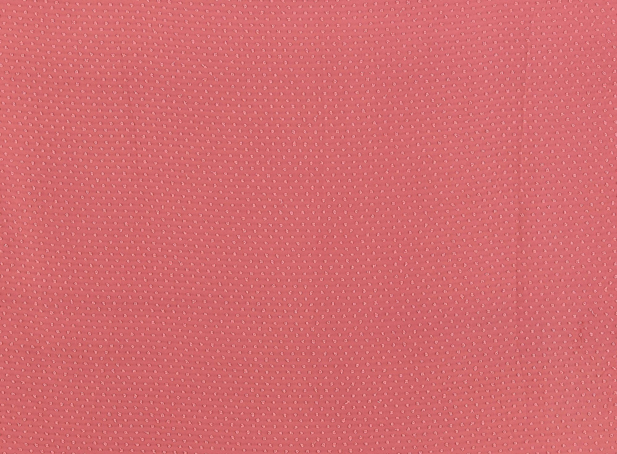 #color_CORAL CANDY