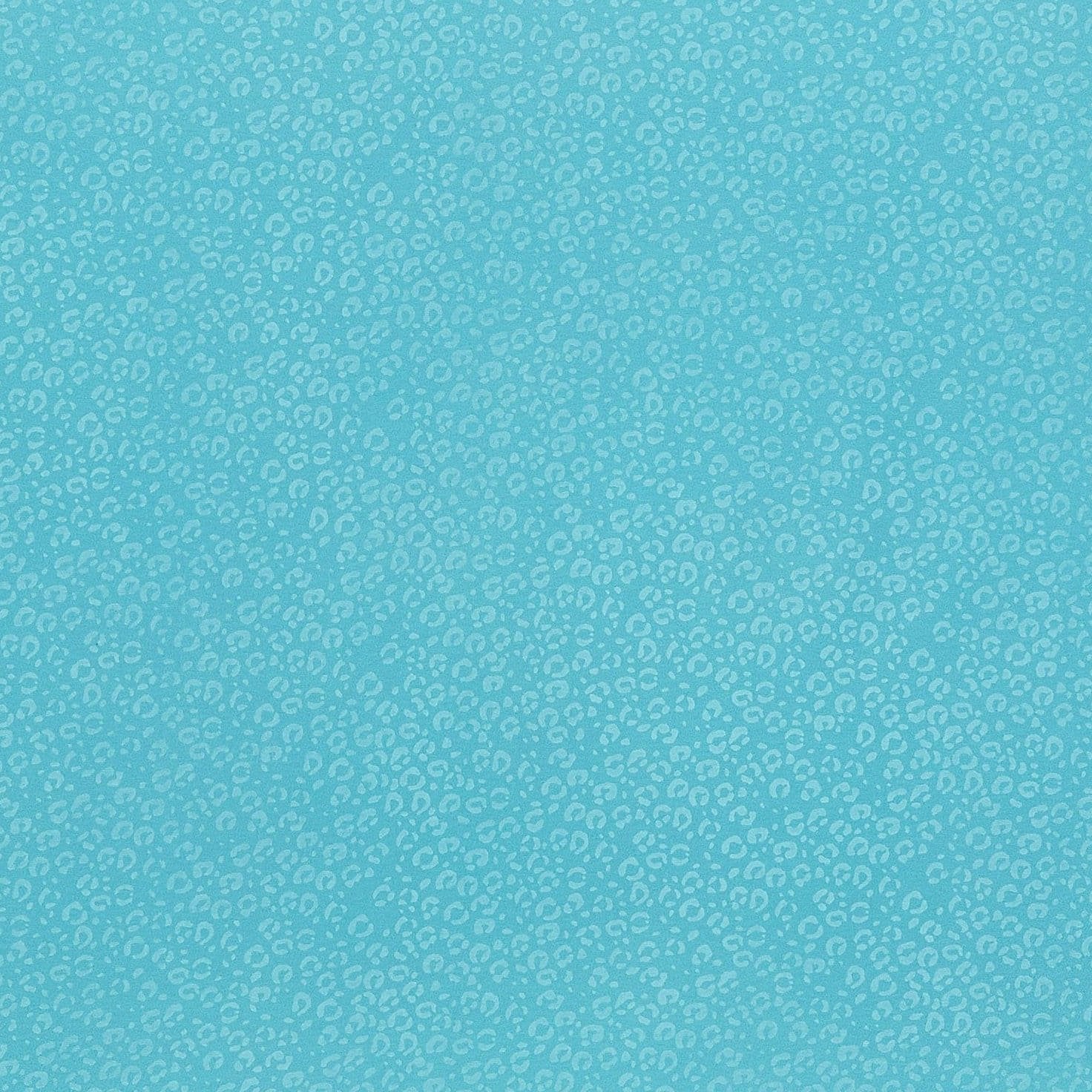 #color_MINT