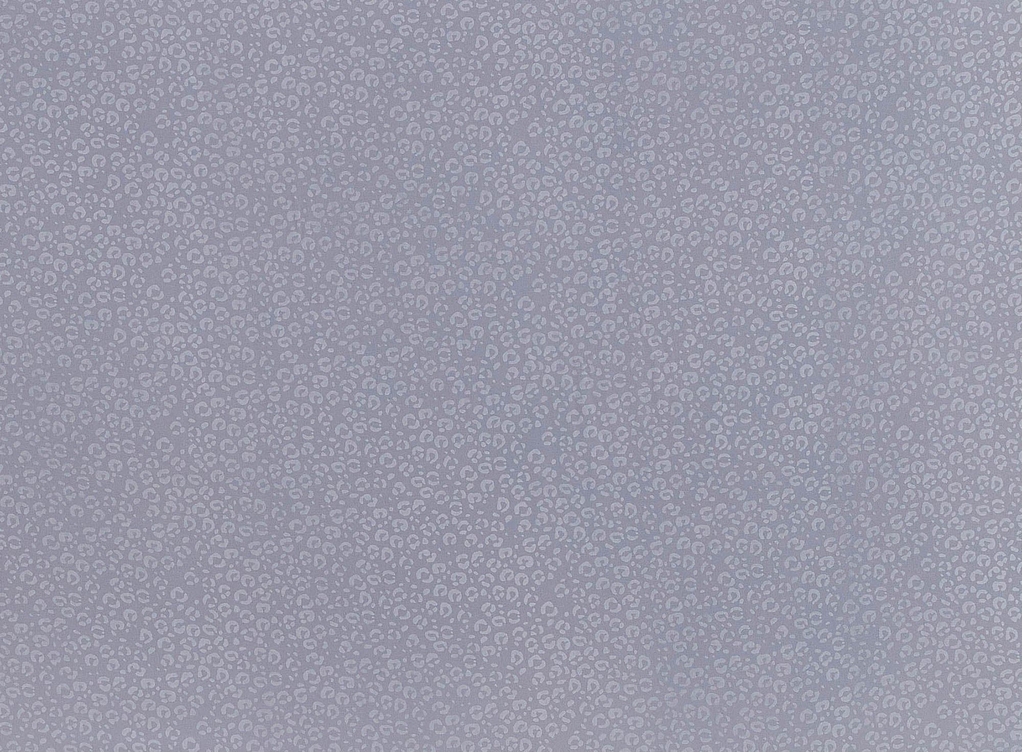 #color_SILVER