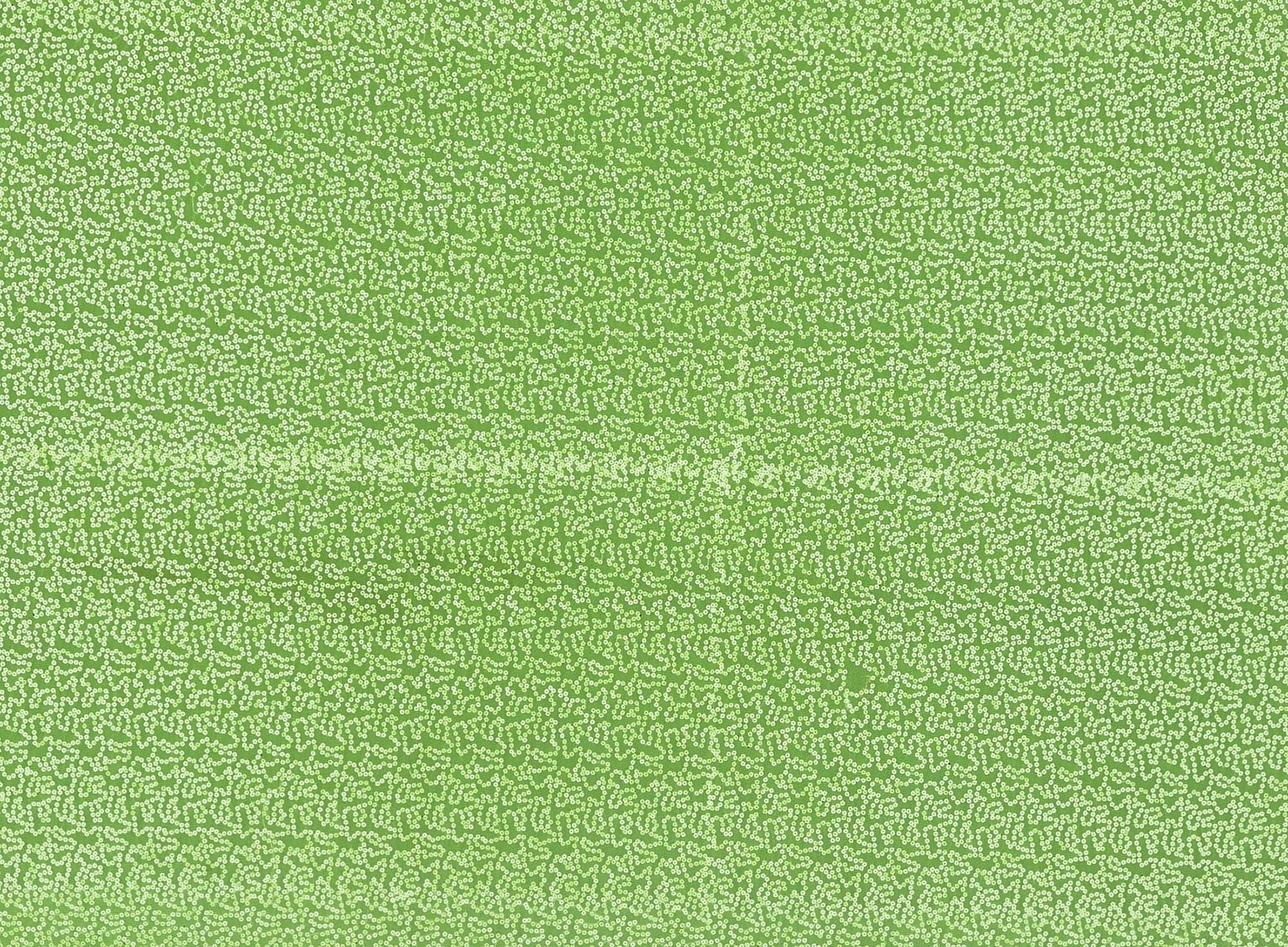 #color_NEON LIME