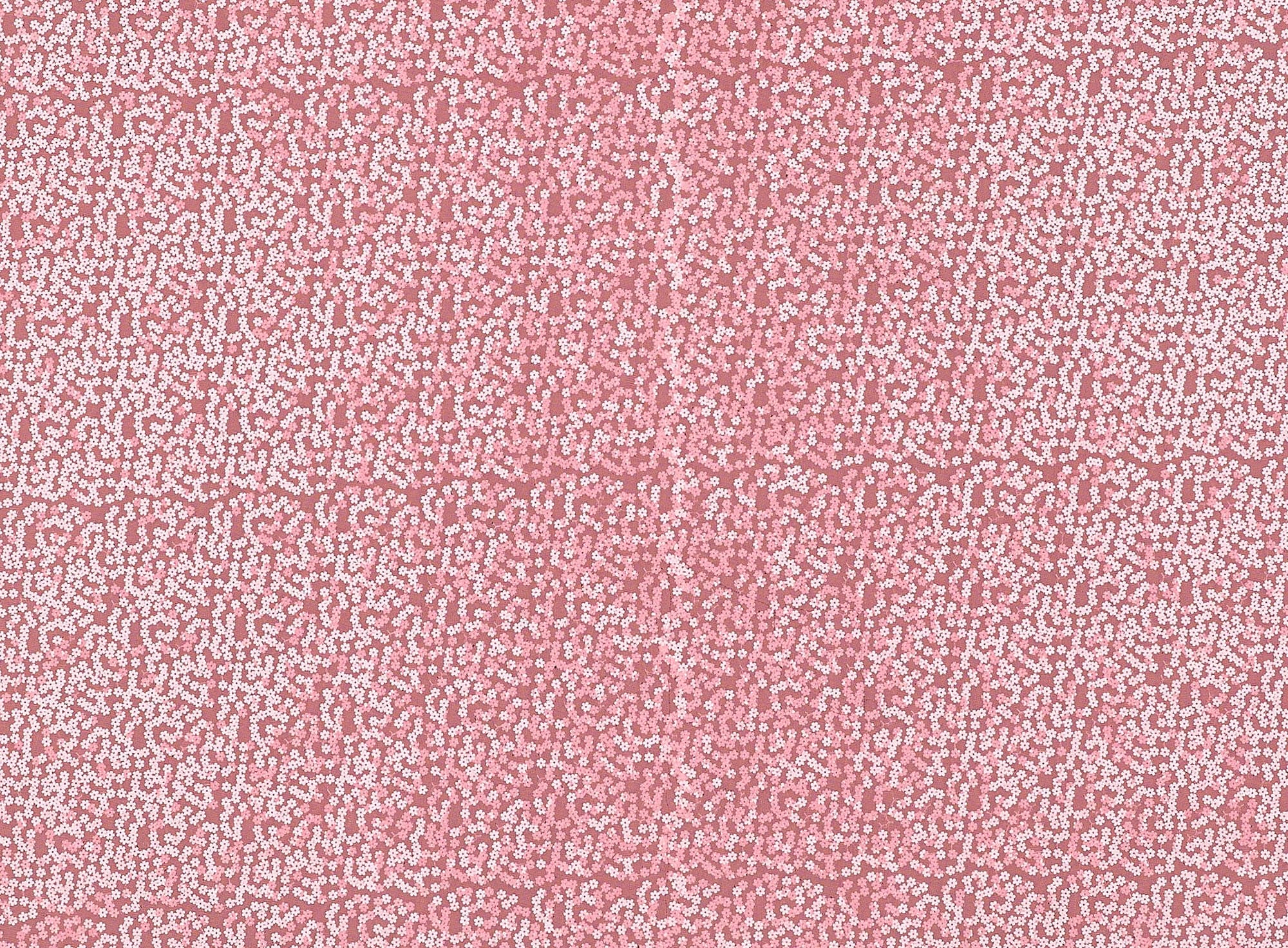 #color_NEON CORAL