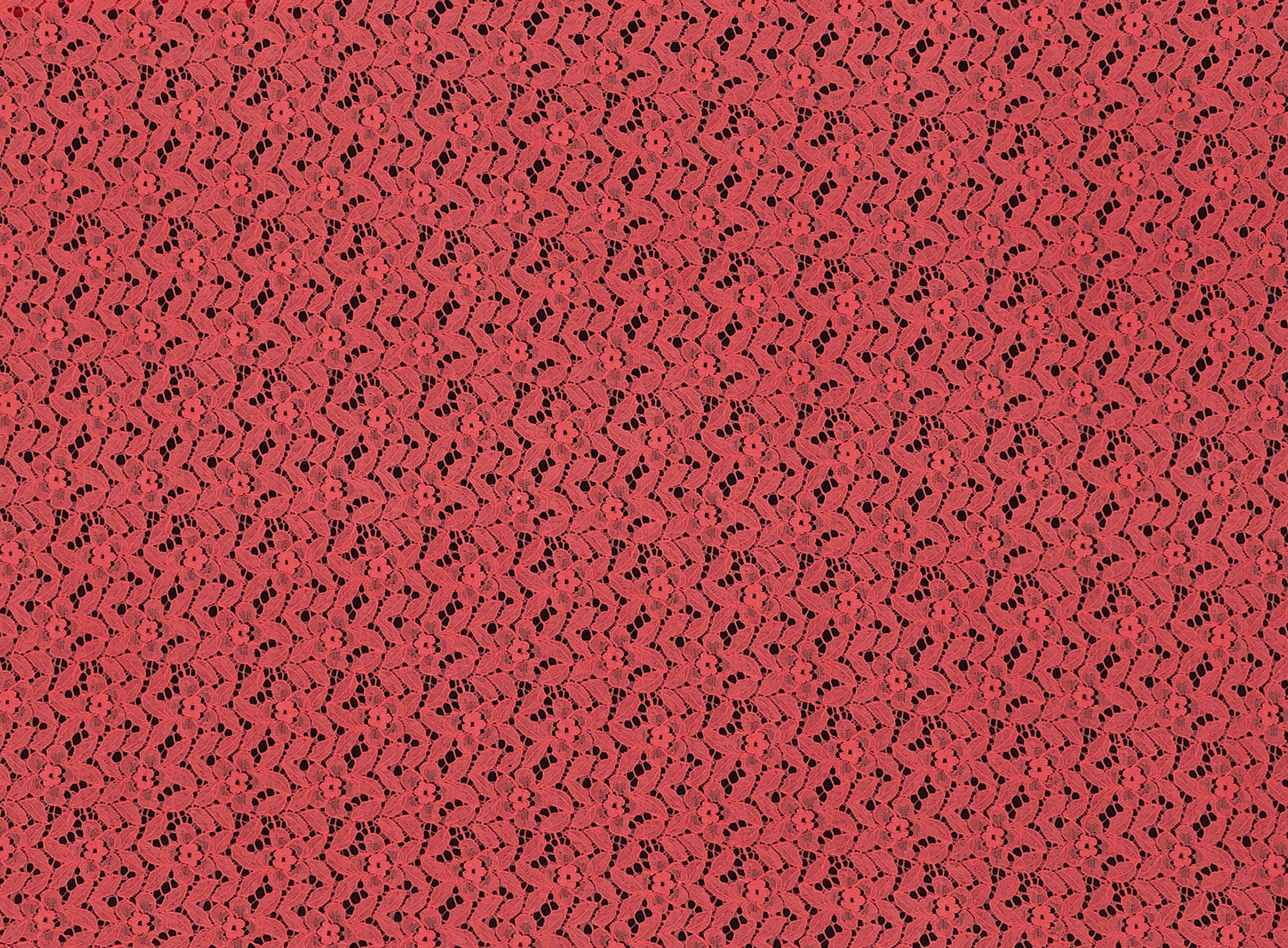 #color_CORAL