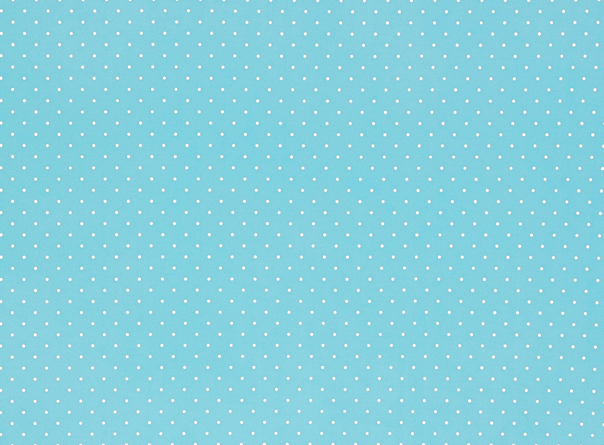 #color_MINT SECRET