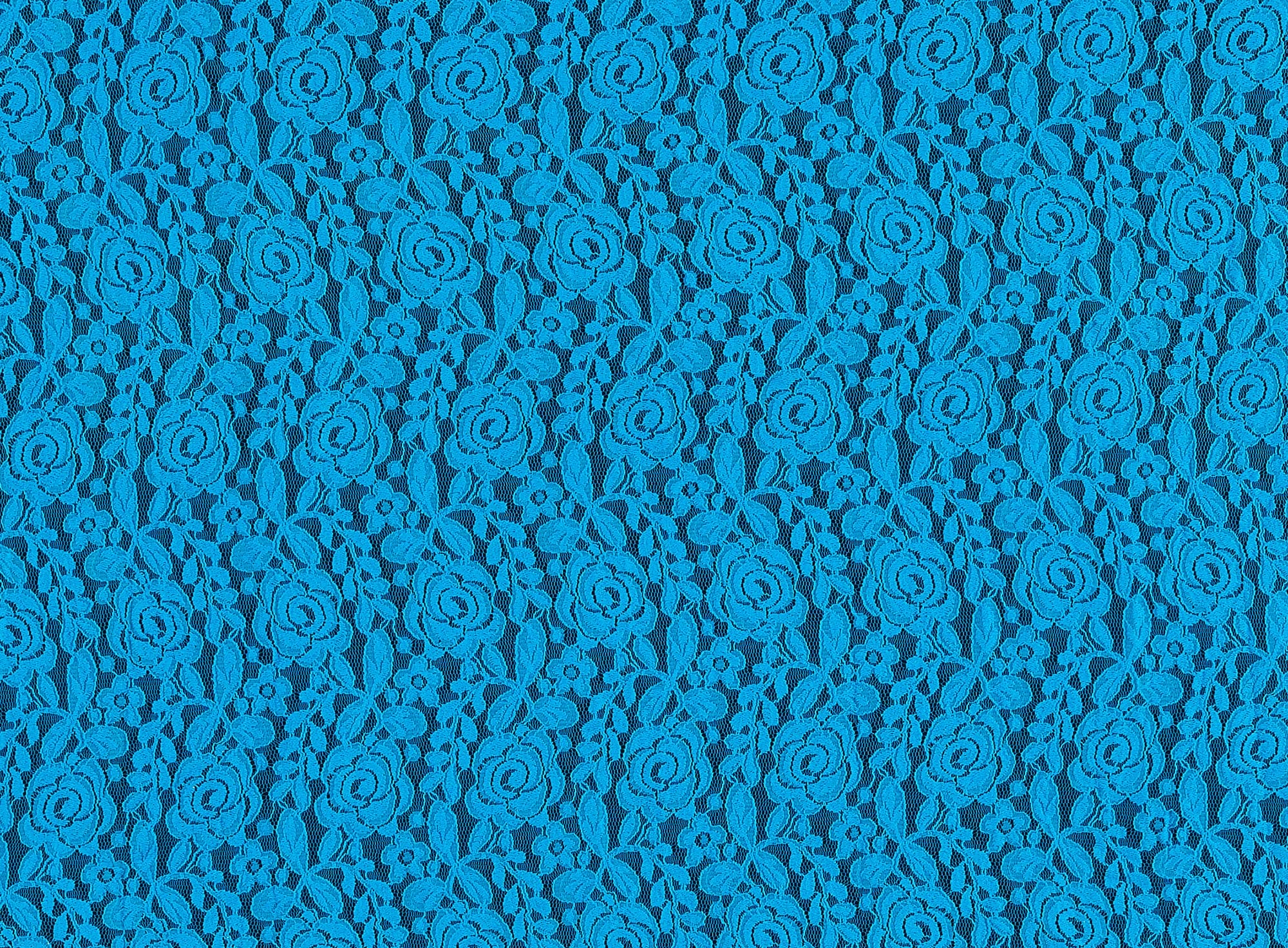 #color_BLUEBERRY PIE