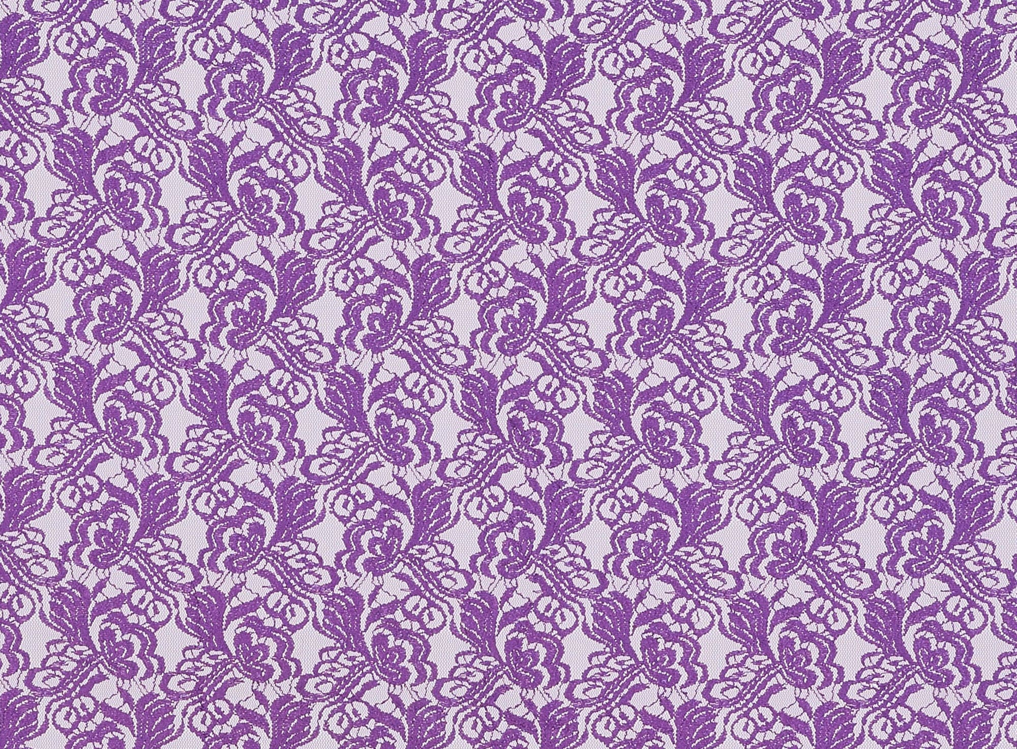 #color_PURPLE ROSE