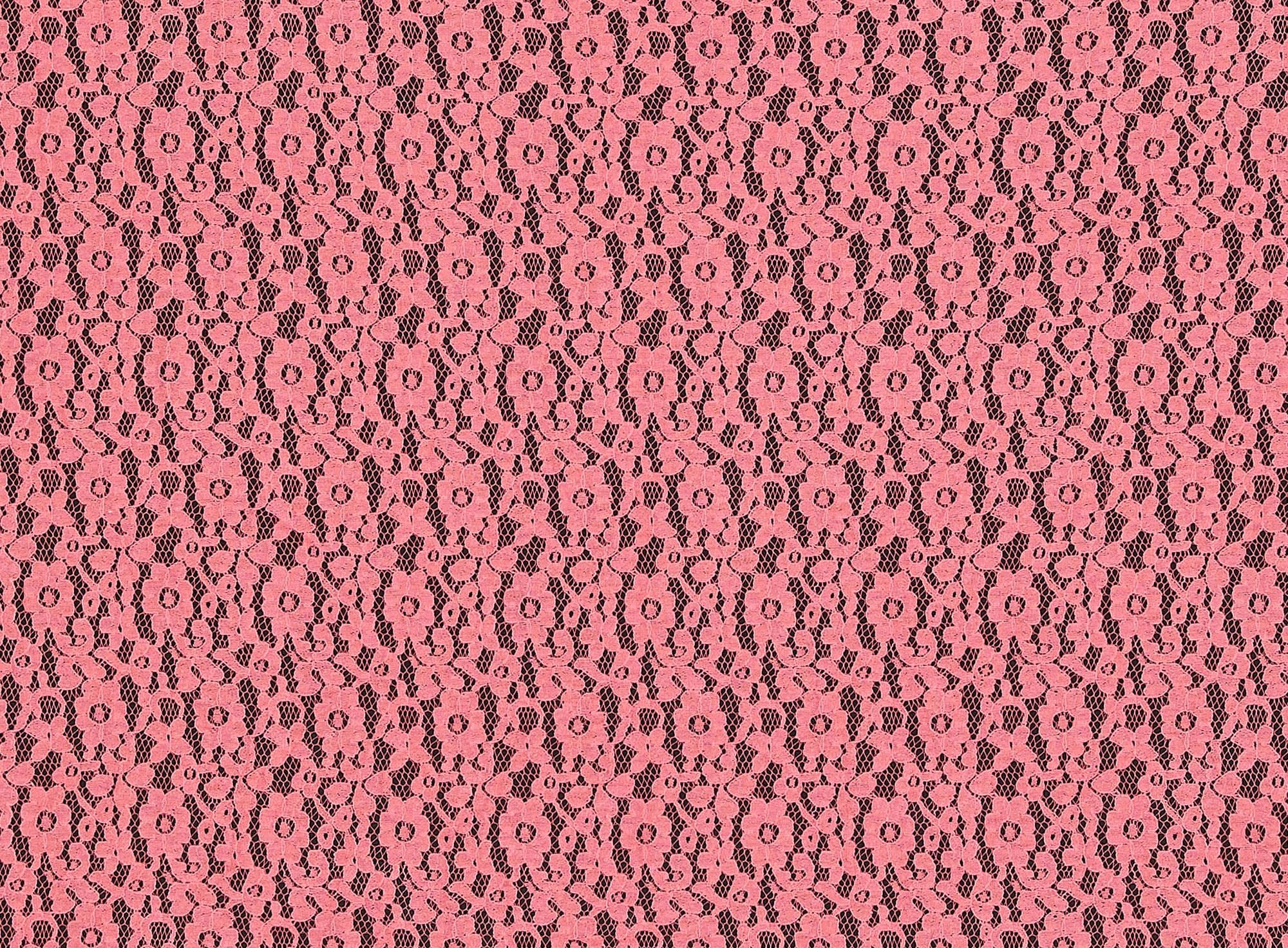 #color_CORAL REEF