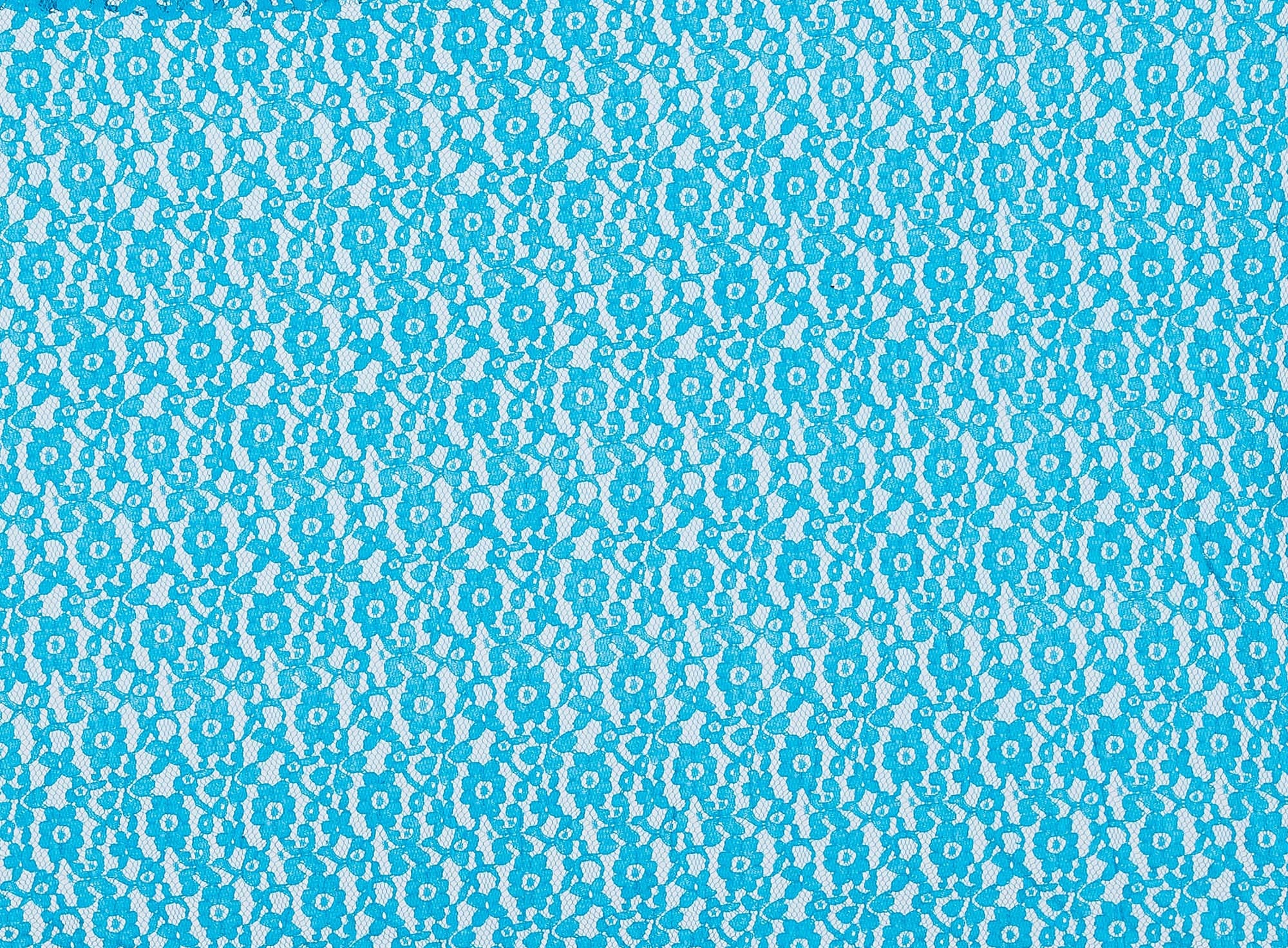 #color_SEA REEF