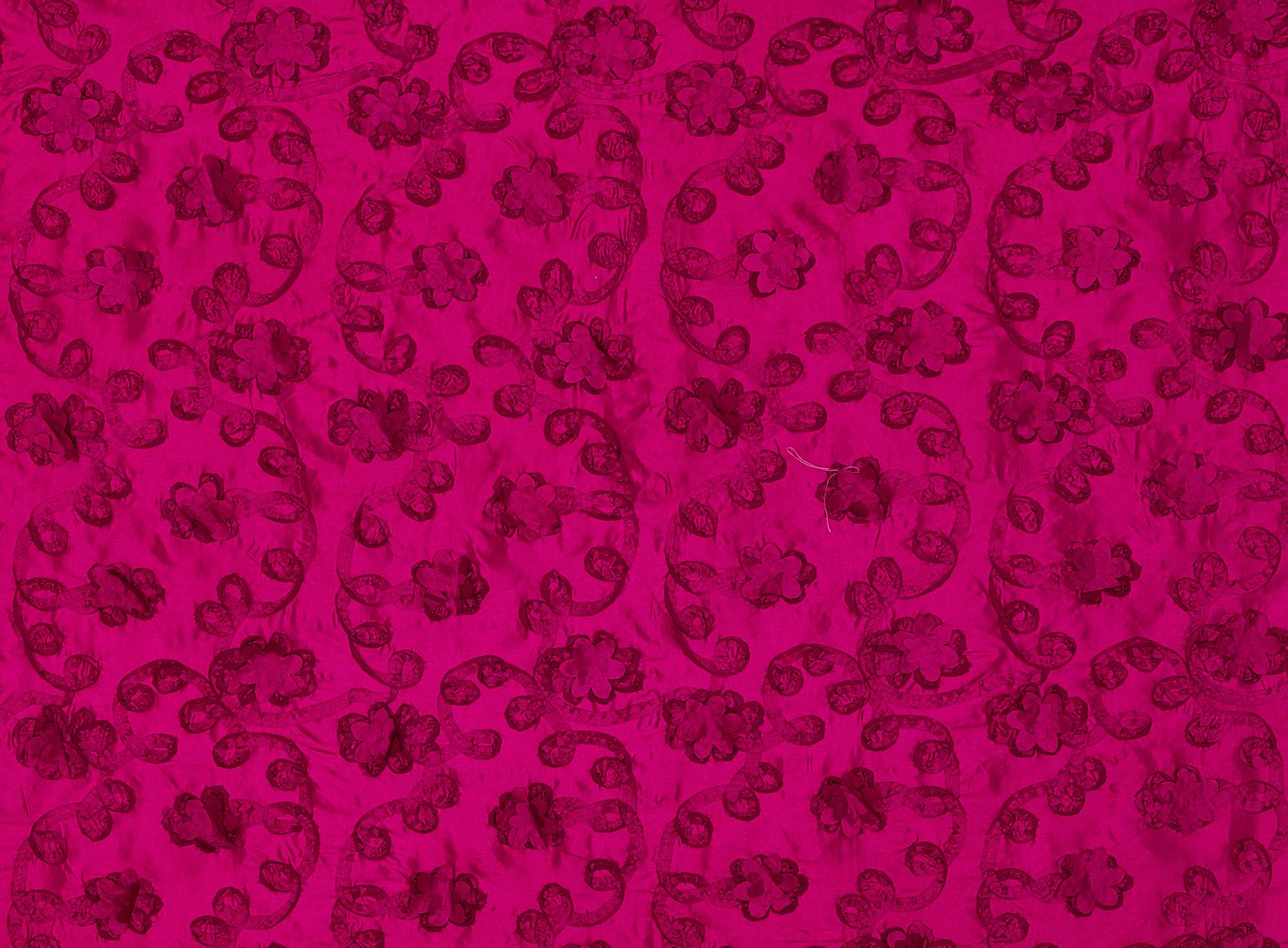 #color_FUCHSIA DAISY