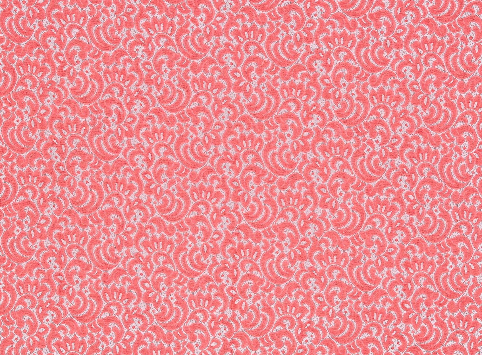#color_DASHING CORAL