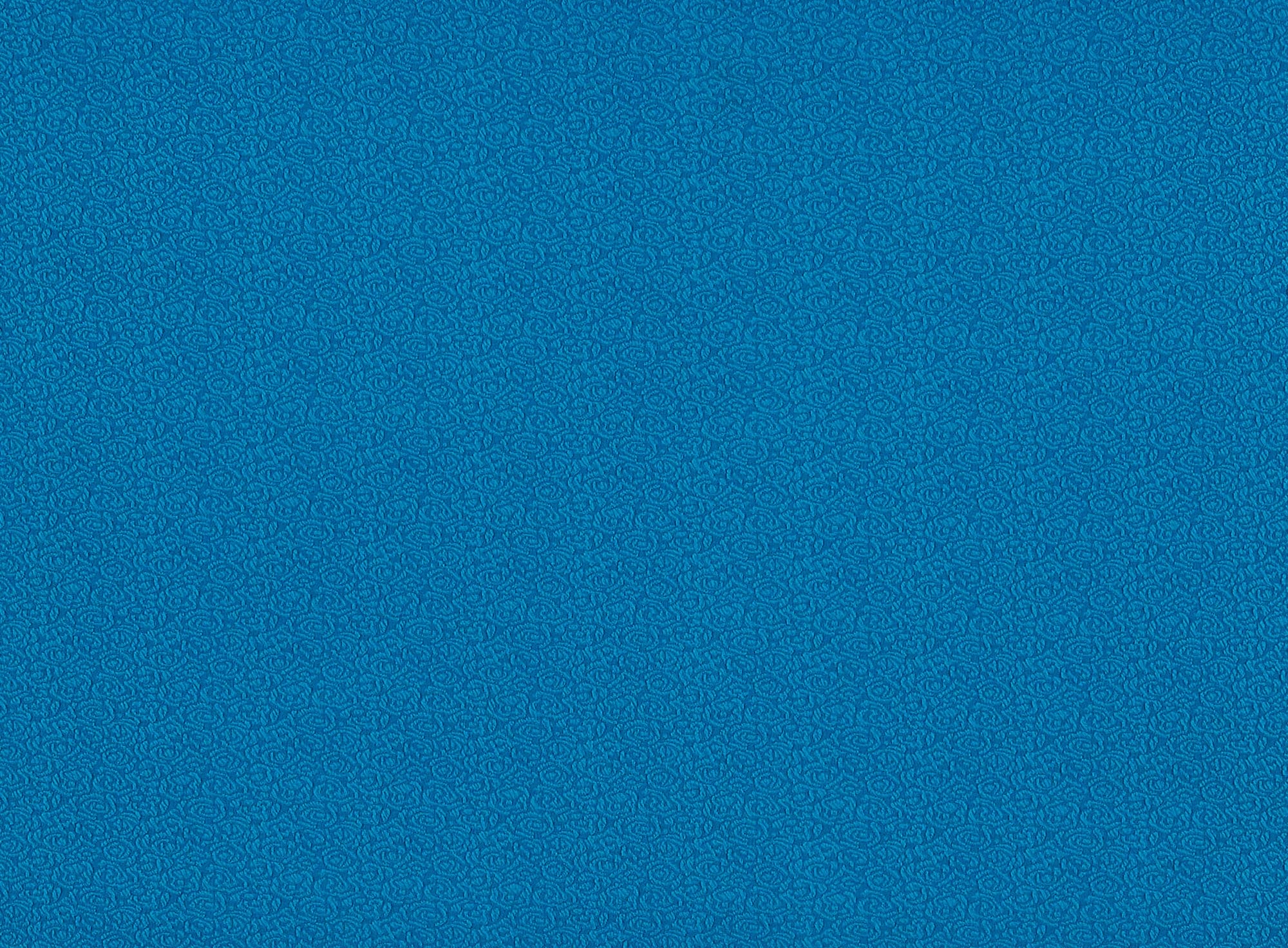 #color_LILY TEAL
