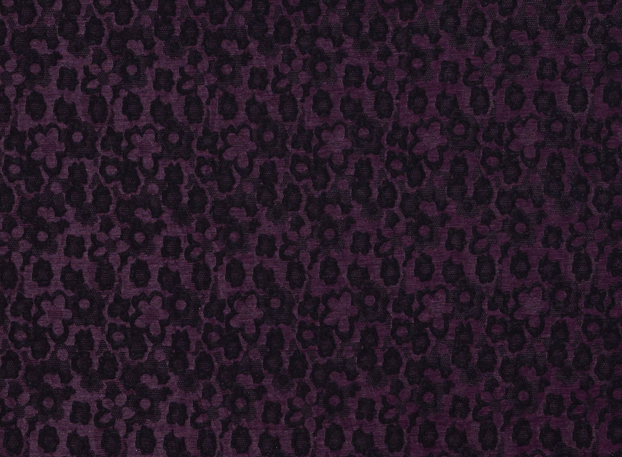 #color_FUCHSIA JOLLY