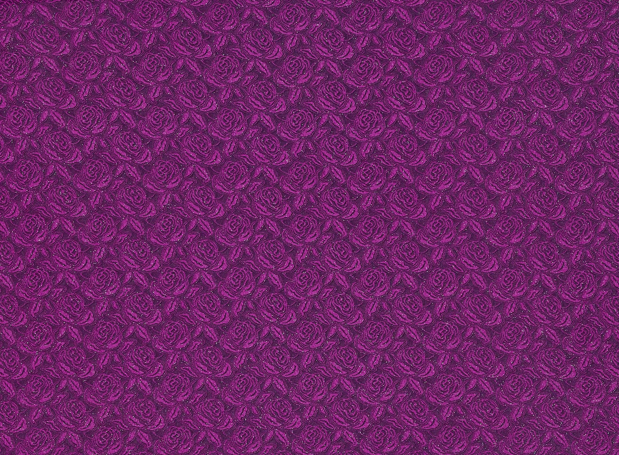 #color_FUCHSIA JOLLY