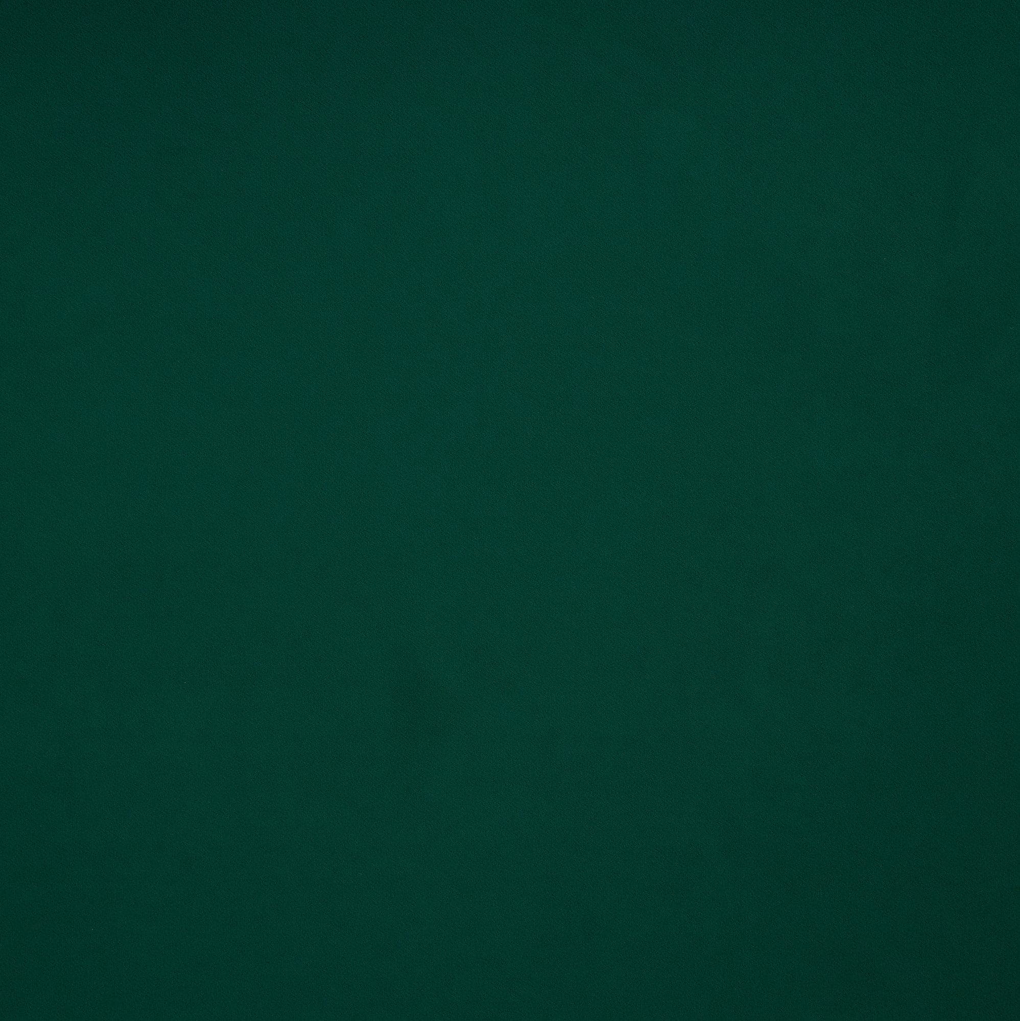 #color_HUNTER DELIGHT