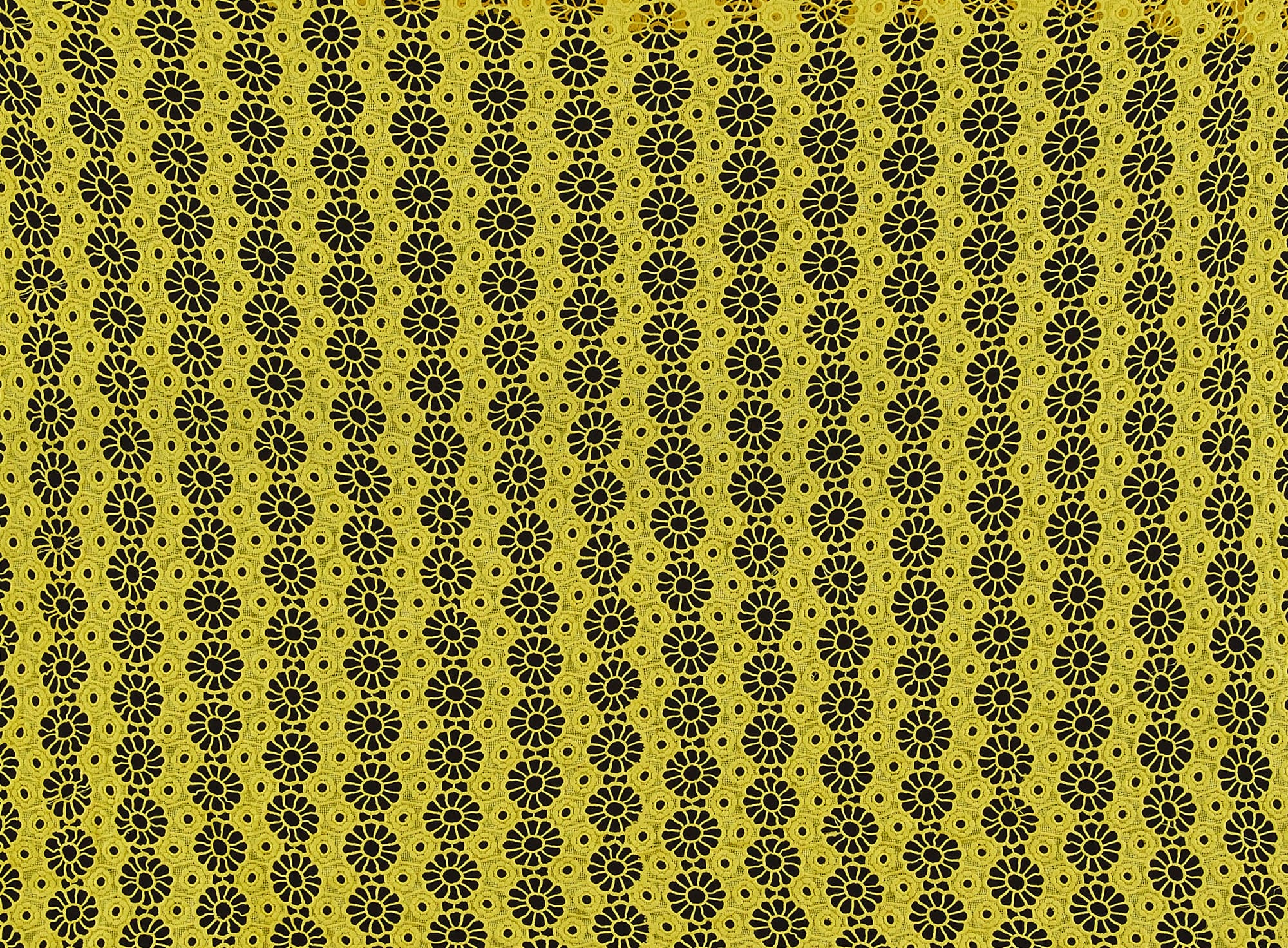 #color_DASHING YELLOW
