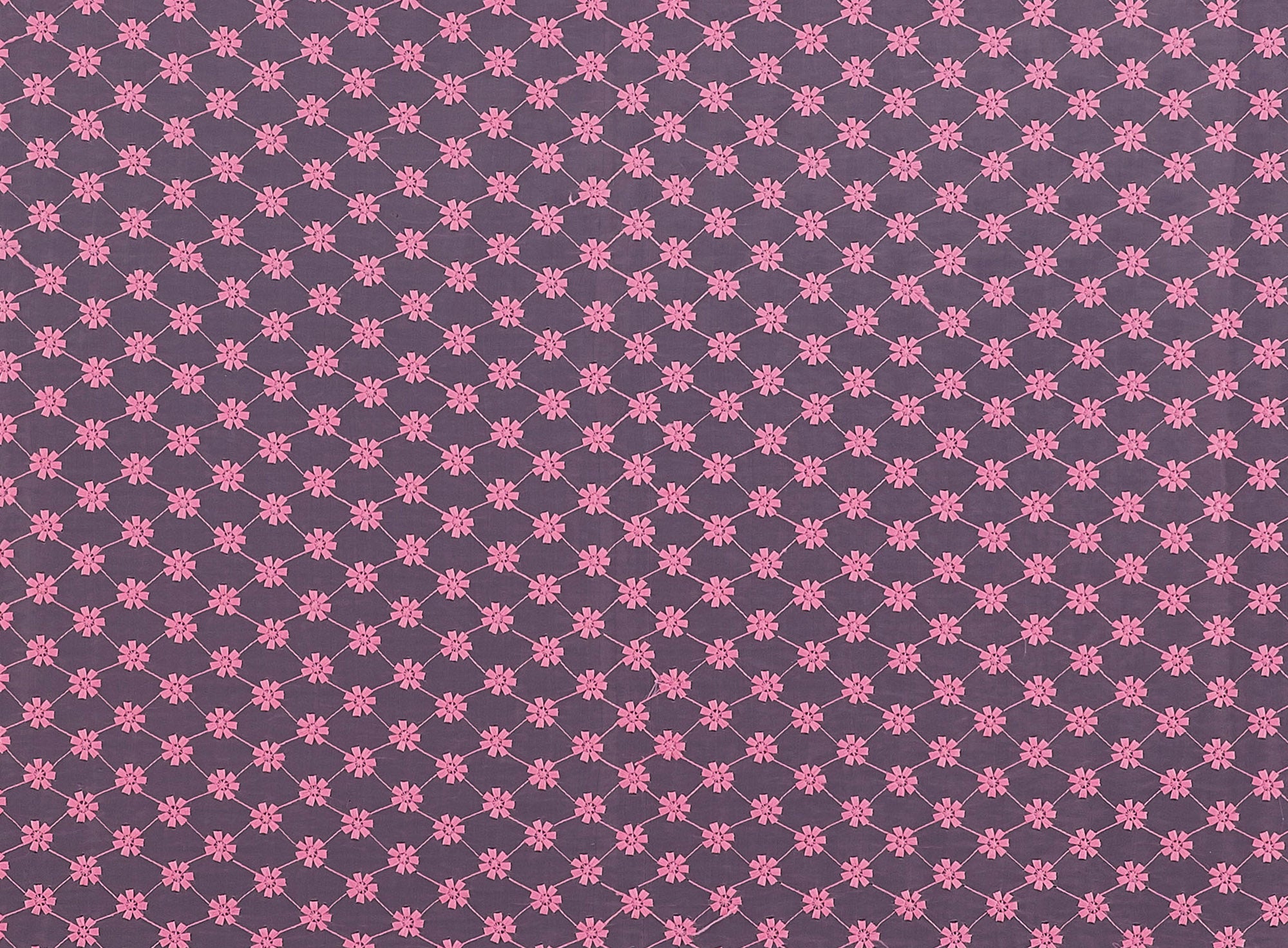 #color_PINK GLOW