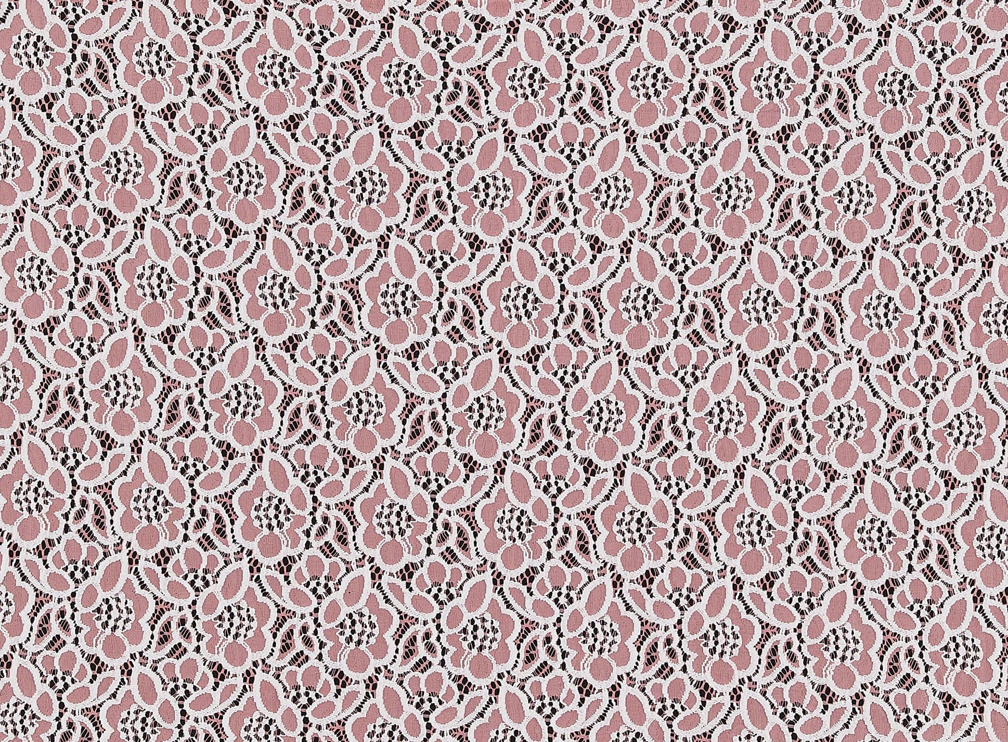 #color_CORAL GLOW/WHT