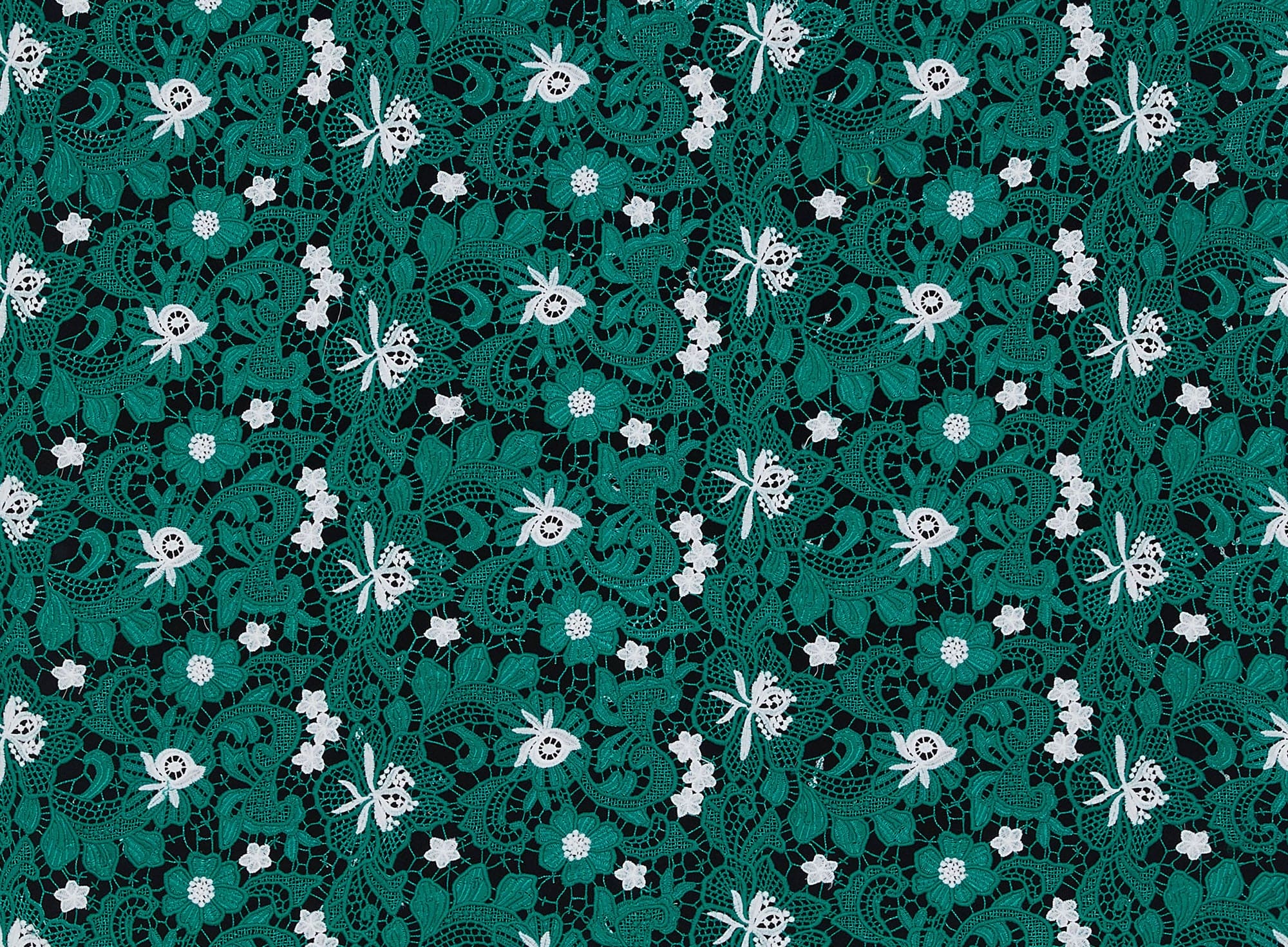 #color_DASHING GREEN