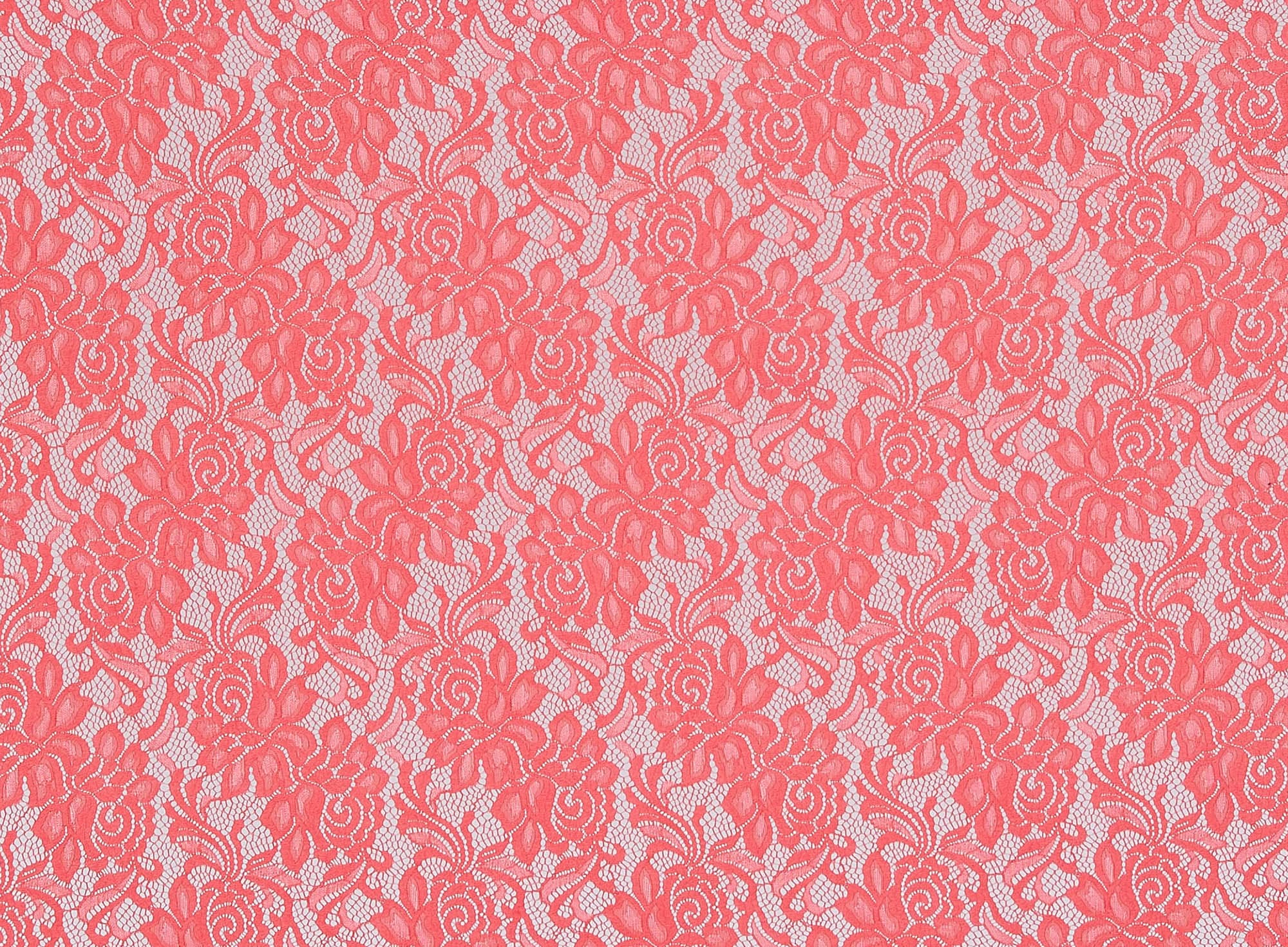 #color_DASHING CORAL