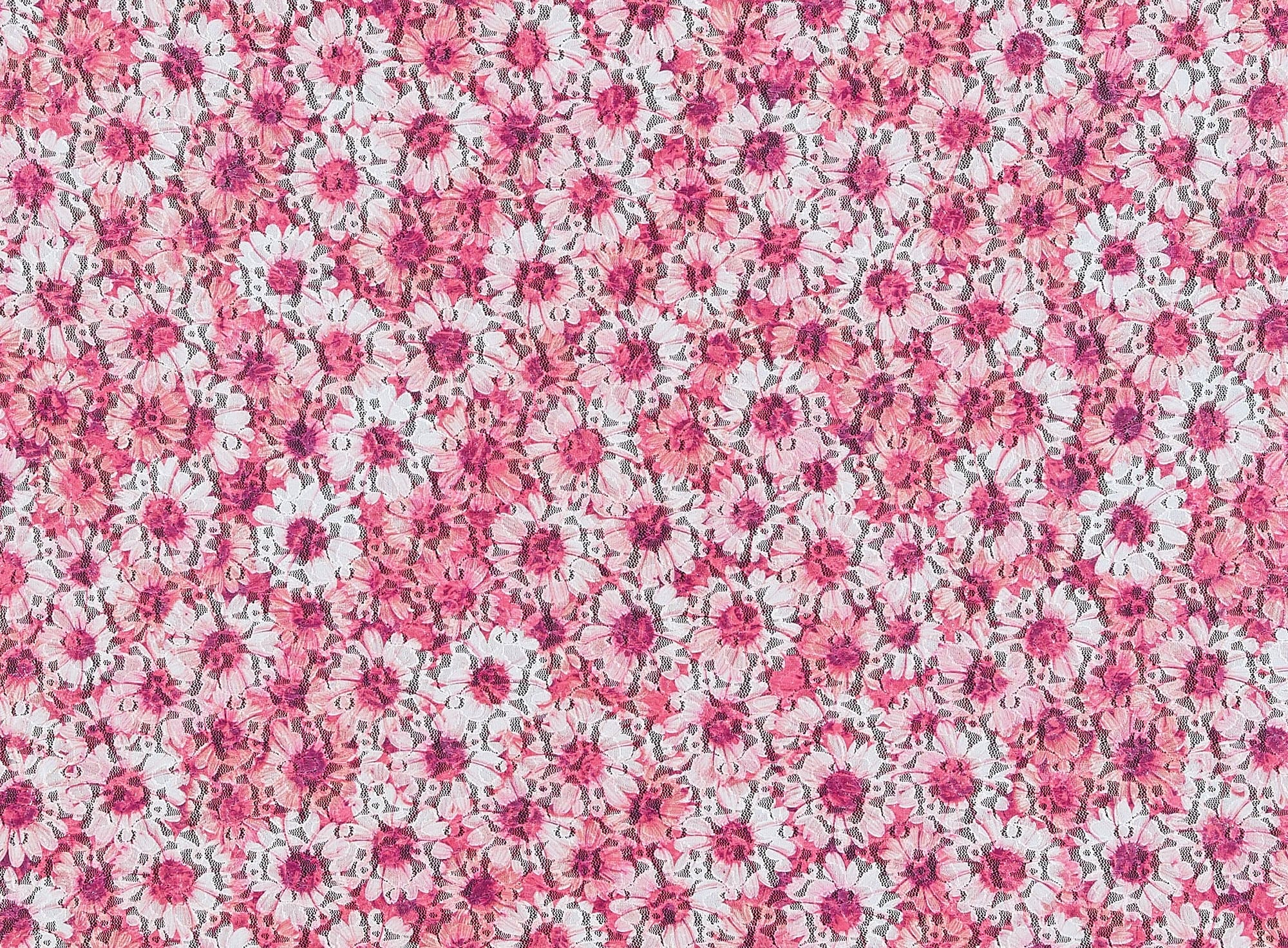 #color_CORAL/RED/WHITE