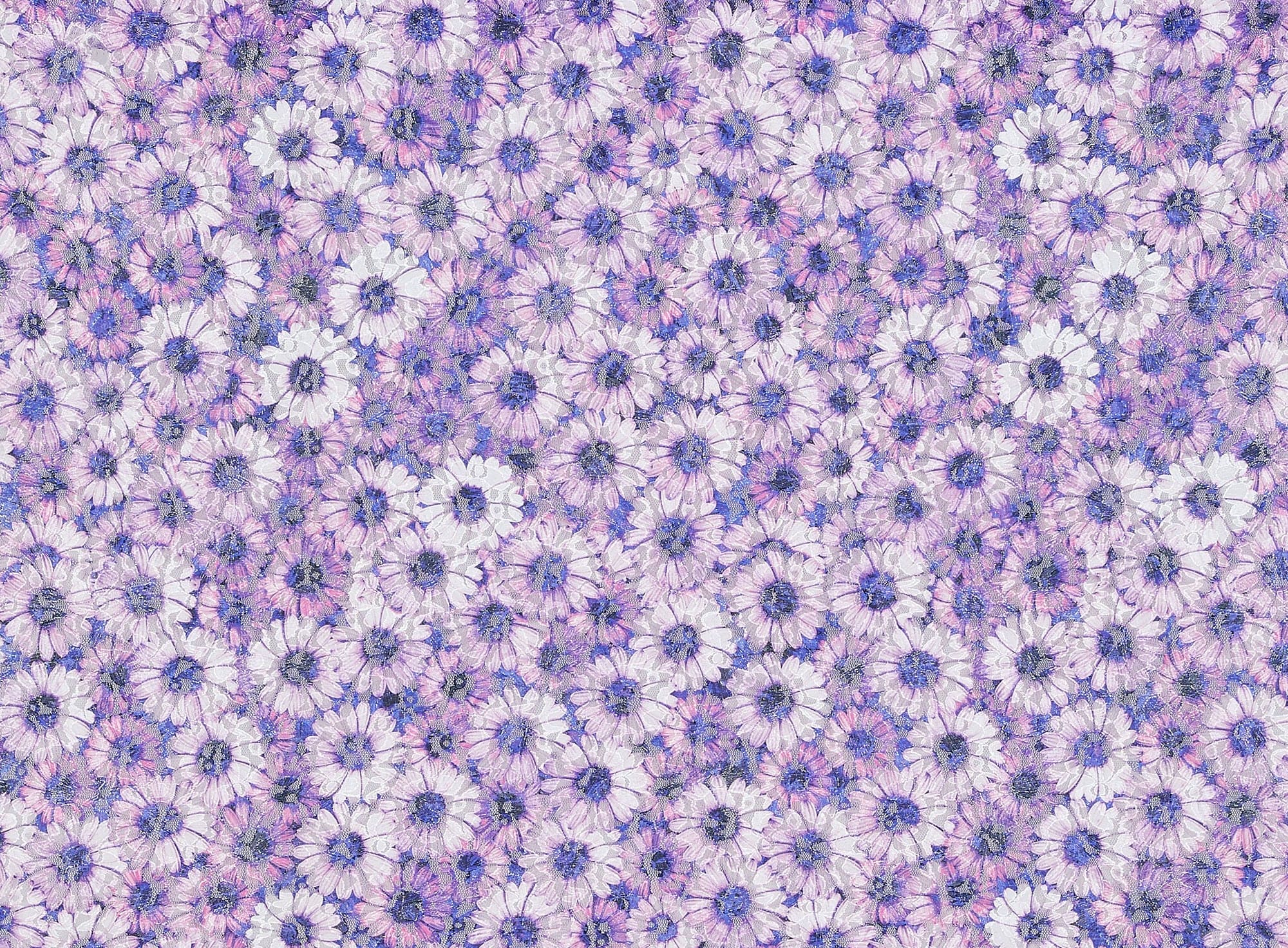 #color_LILAC/PURPLE/WHITE