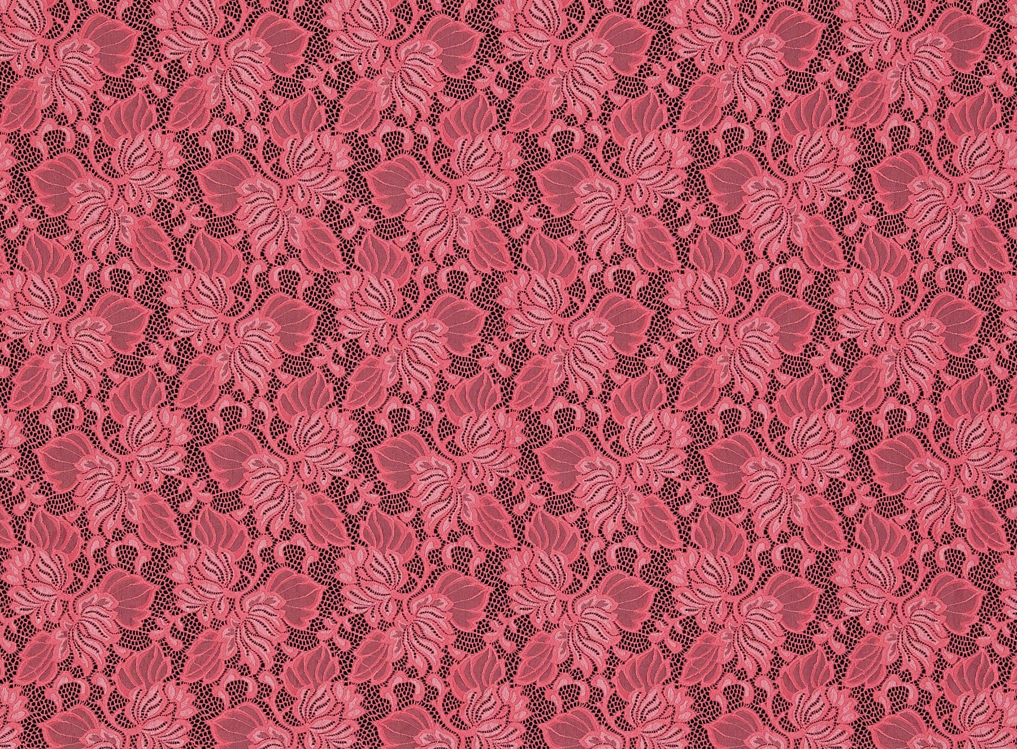 #color_ESSENTIAL CORAL