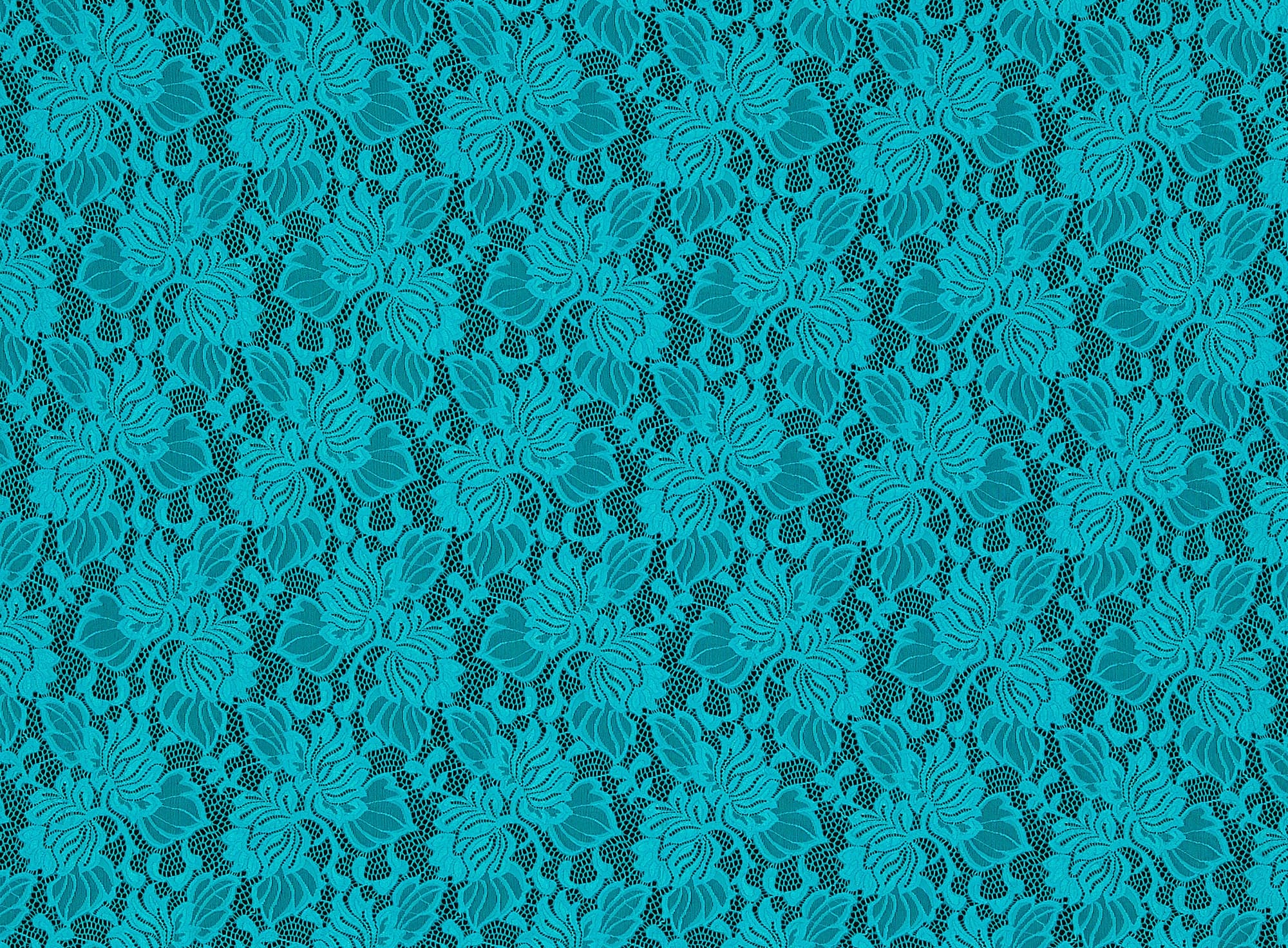 #color_MINT SUGAR