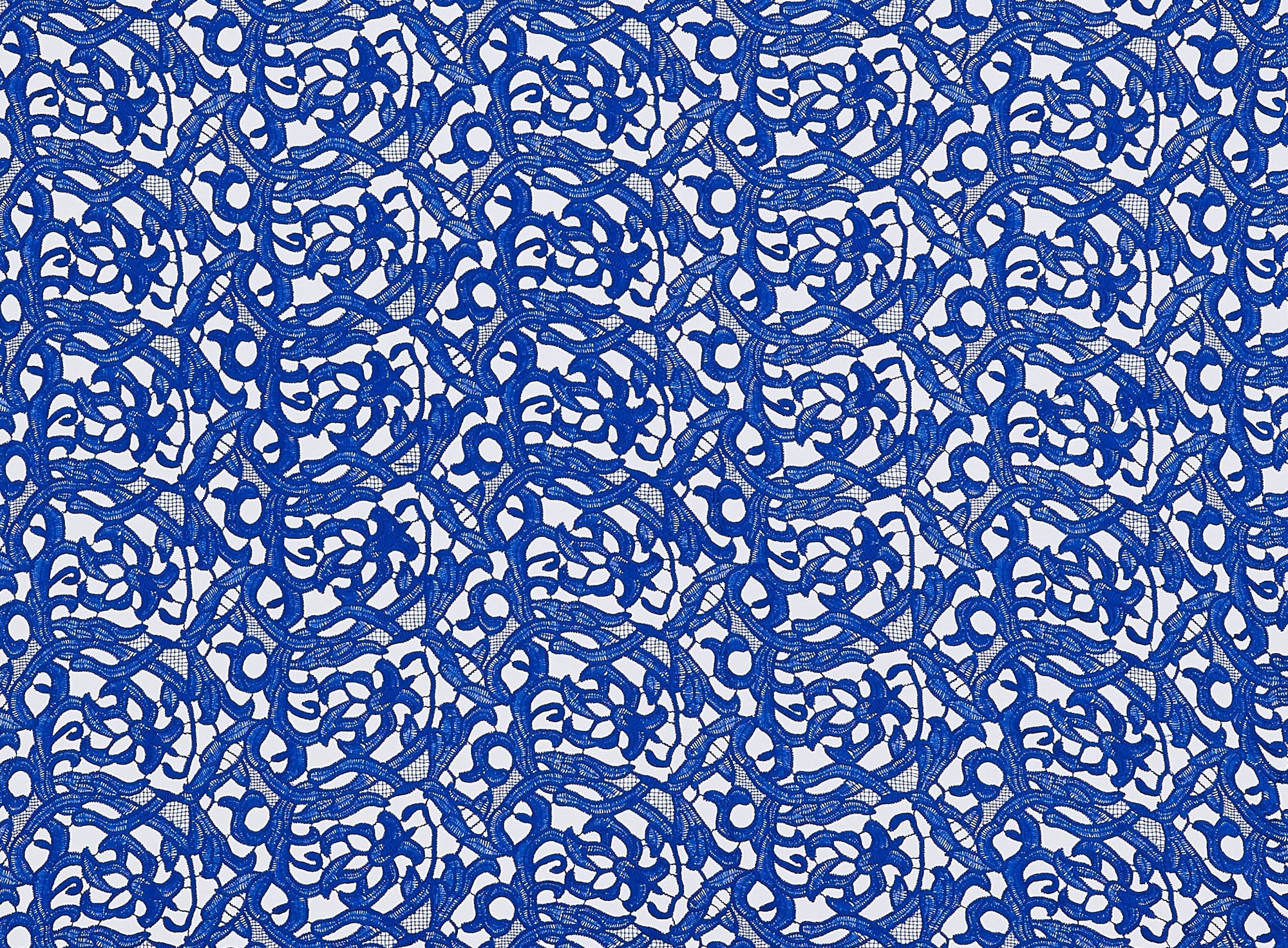 #color_ROYAL OBSESSION