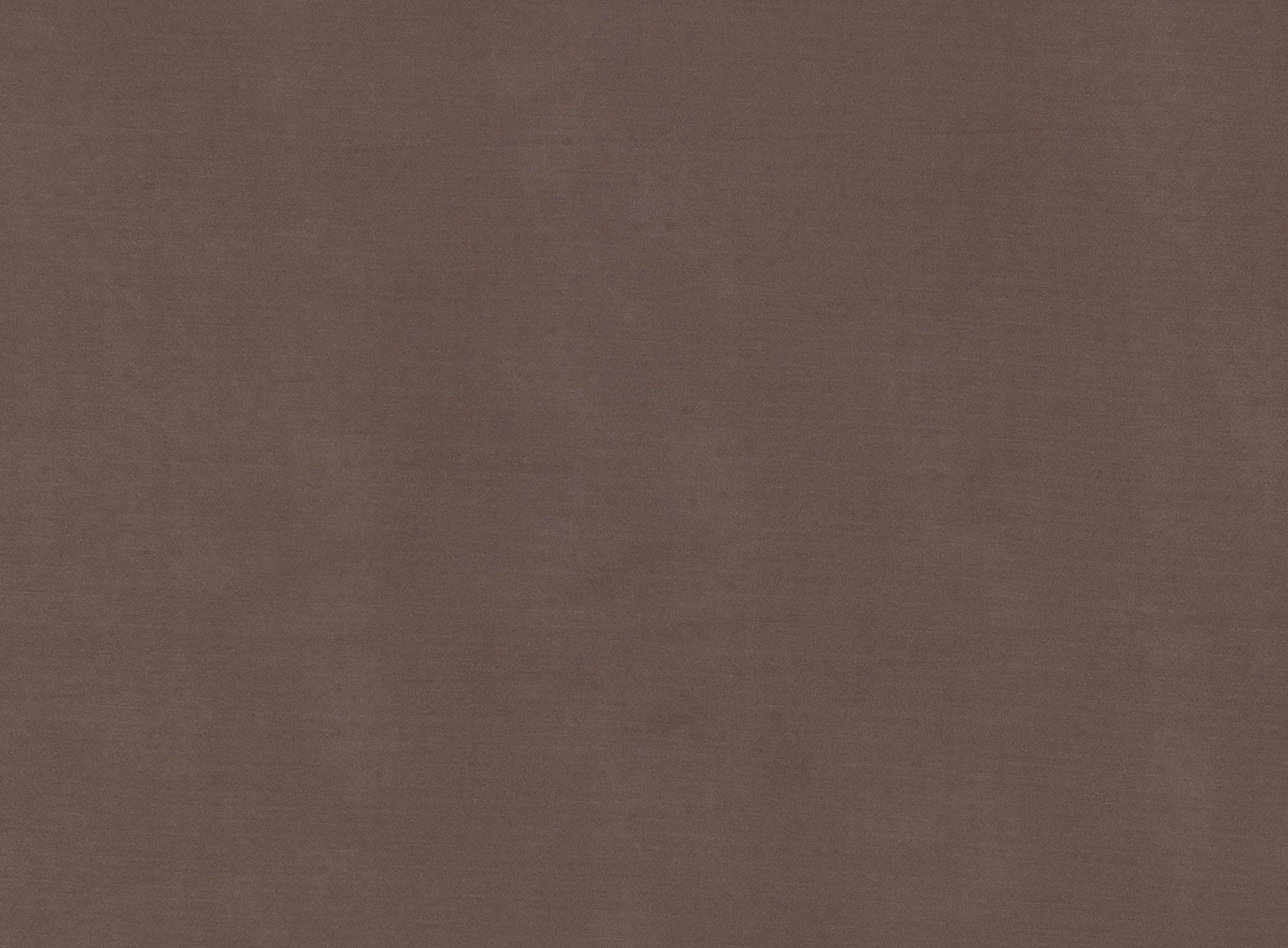 #color_TAUPE FANTASY