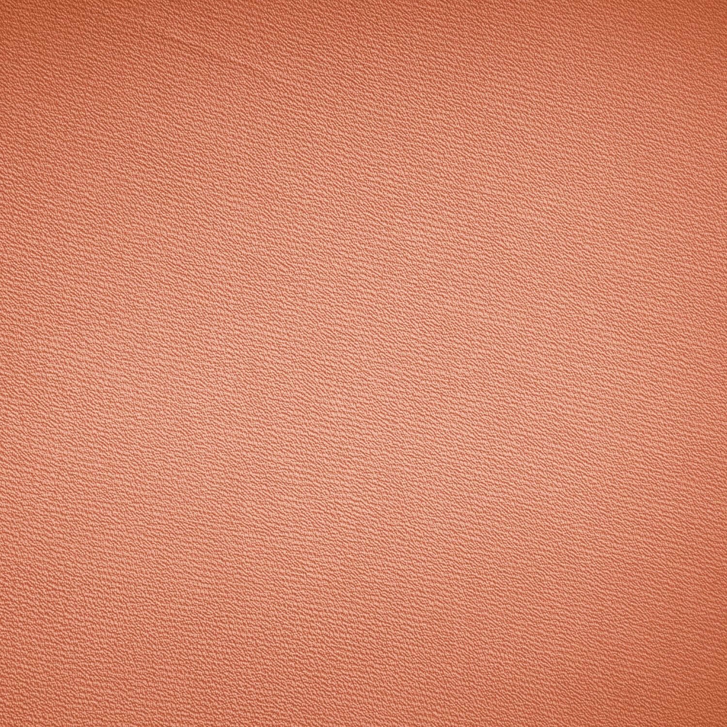 #color_CORAL DREAM 22