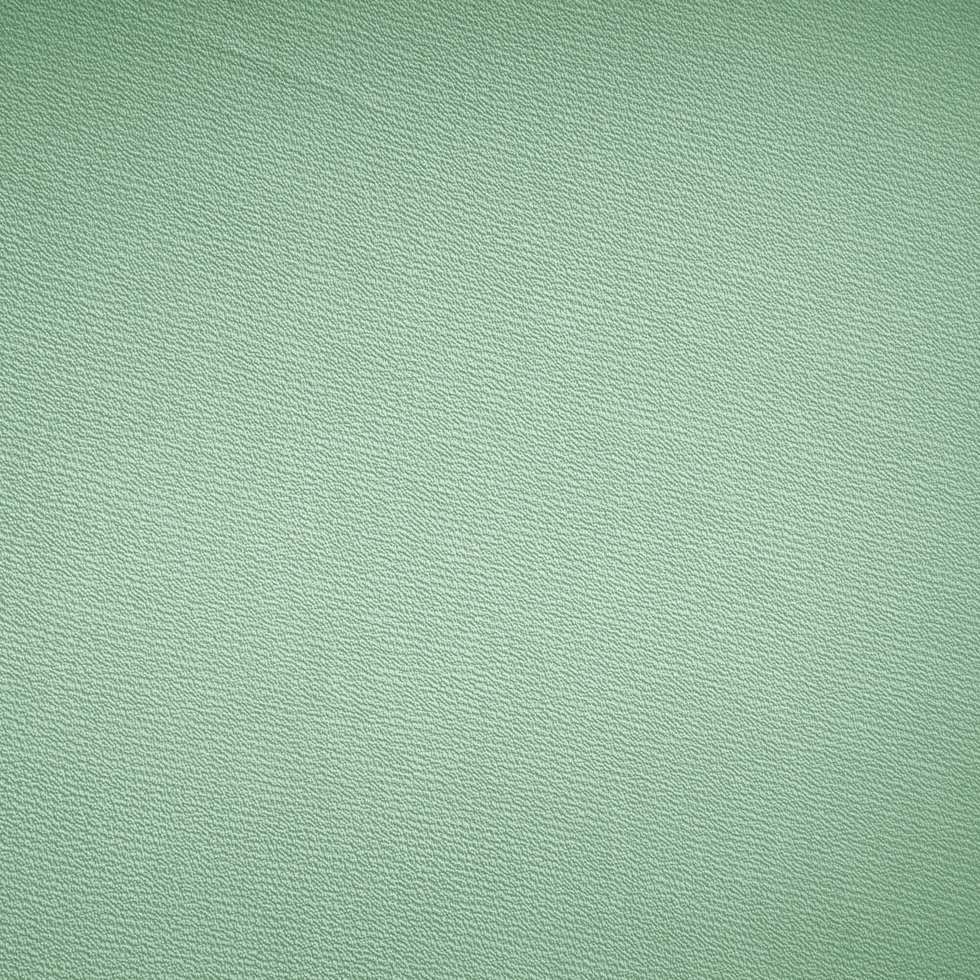 #color_MINT DREAM 5