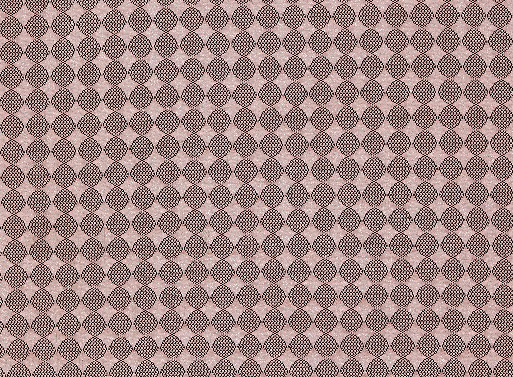 #color_BLUSH OBSESSION