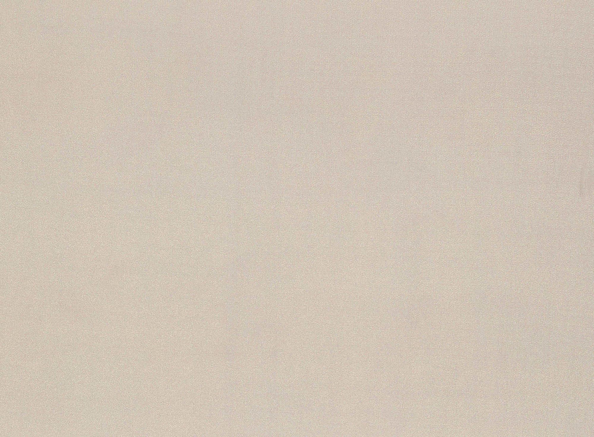 #color_ENCHANTED SHELL