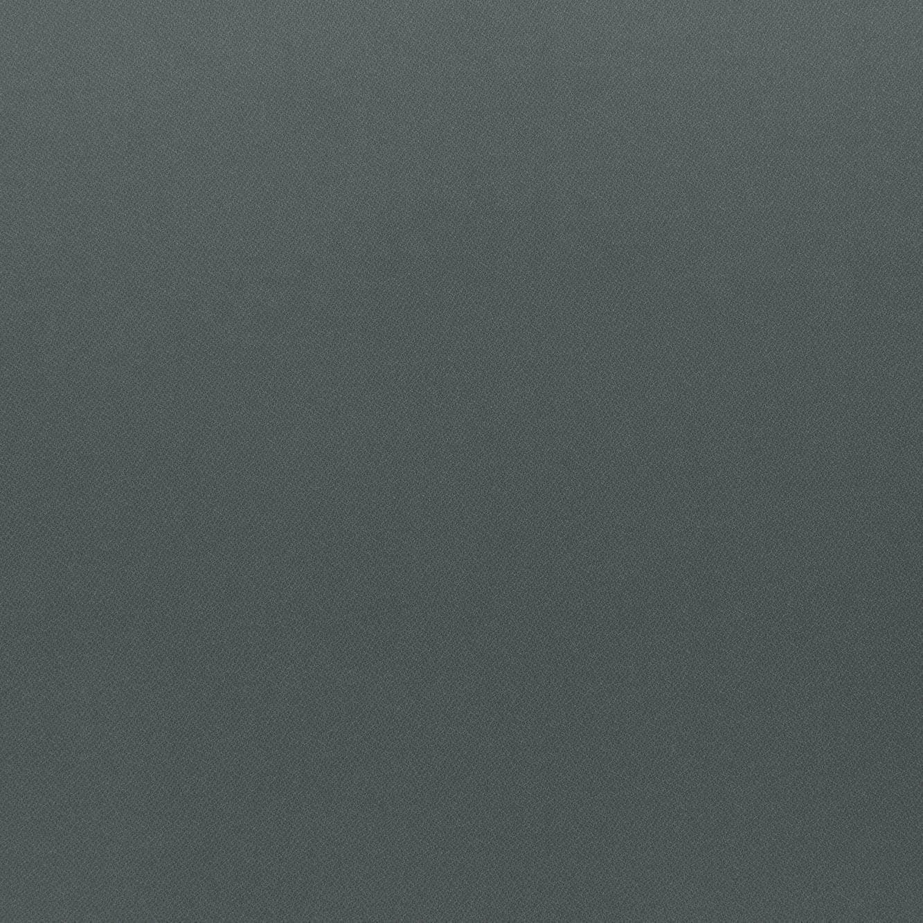 #color_AUDACIOUS SILVER