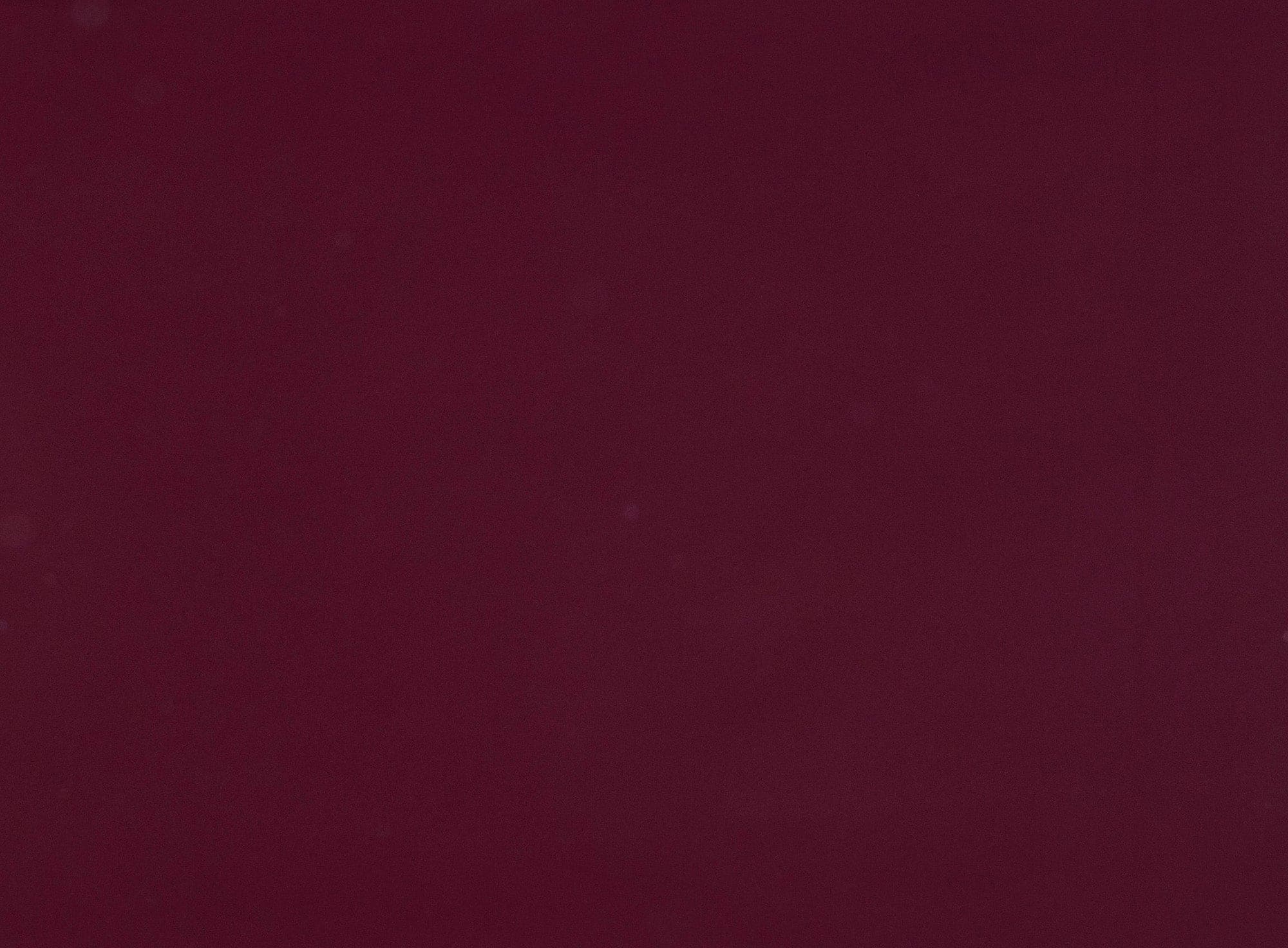 #color_PLUM HONOR