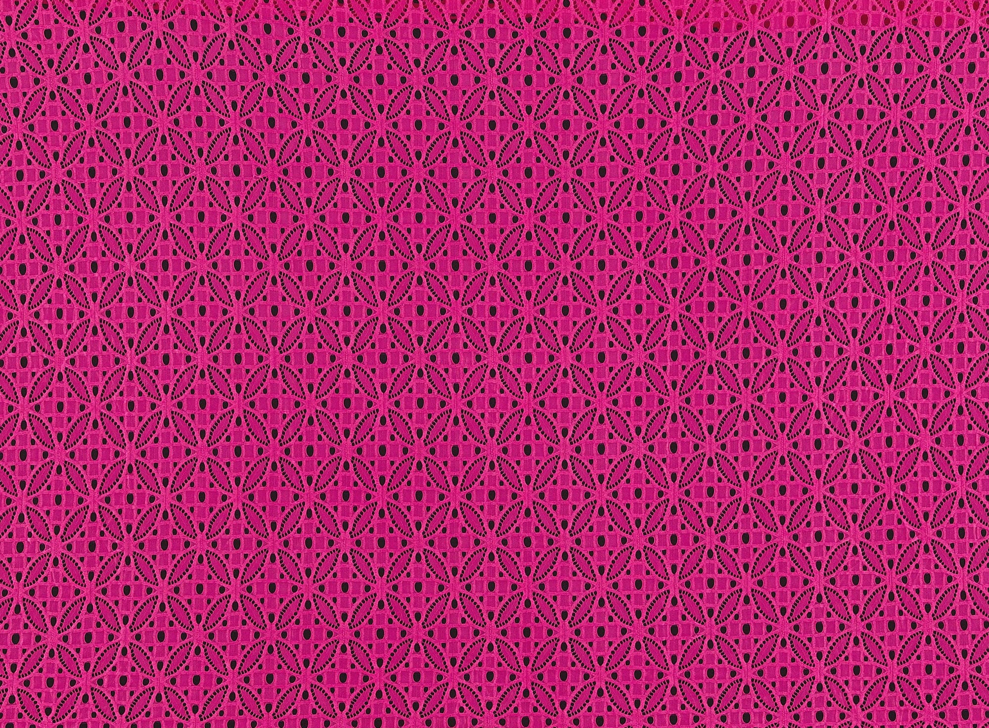#color_ESSENTIAL ROSE