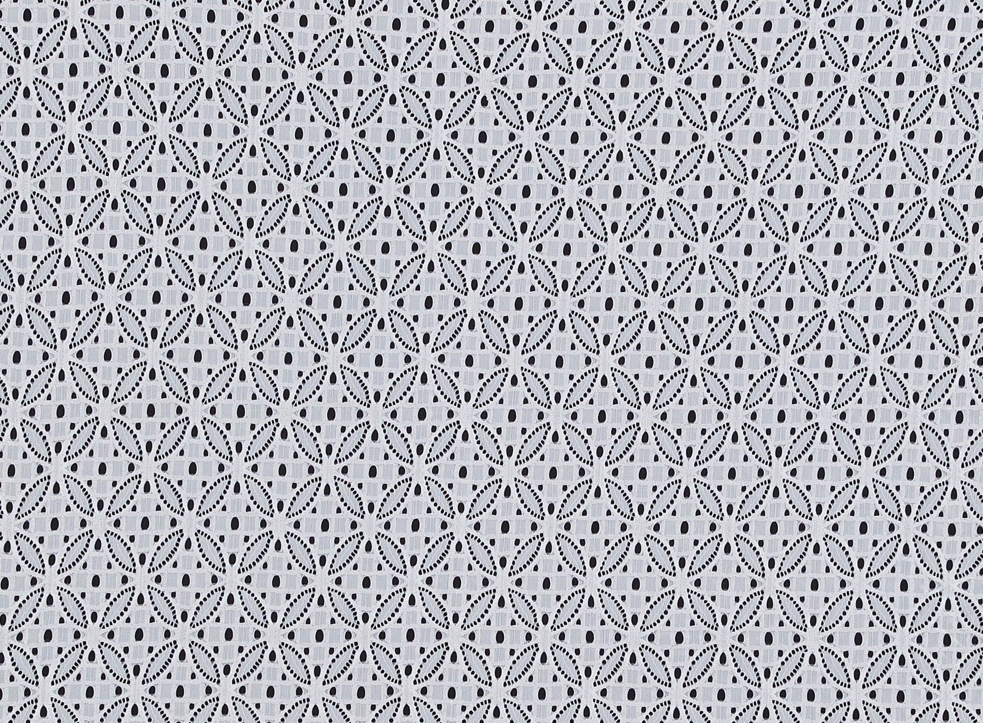 #color_WHITE