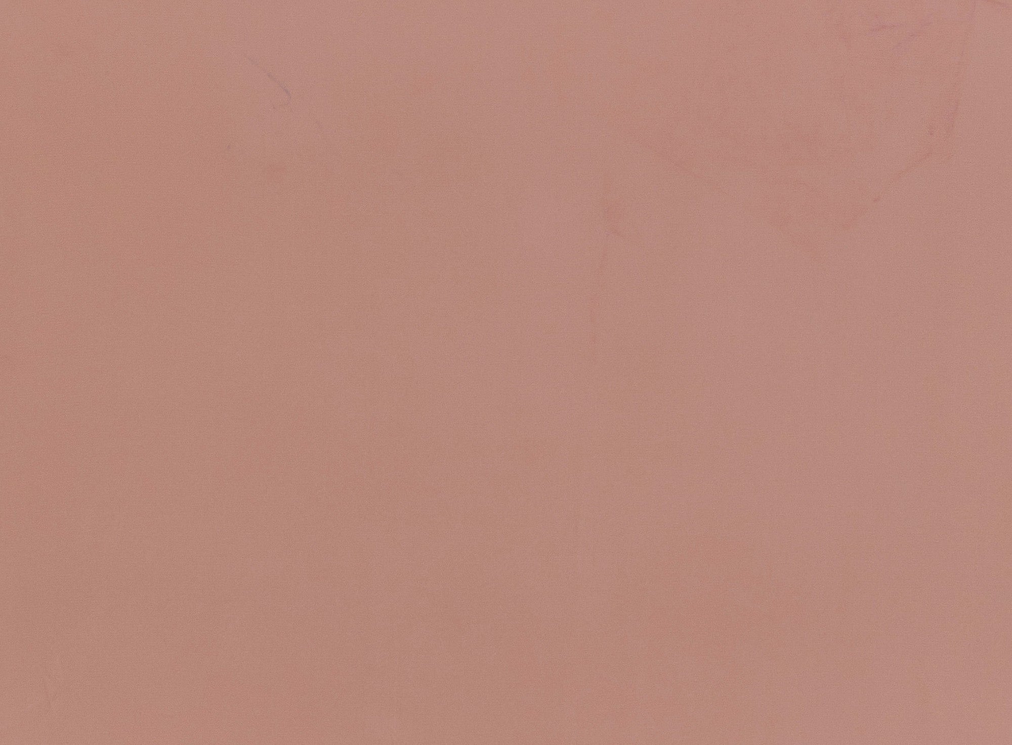 #color_AMBER MUSE/SHELL MUSE