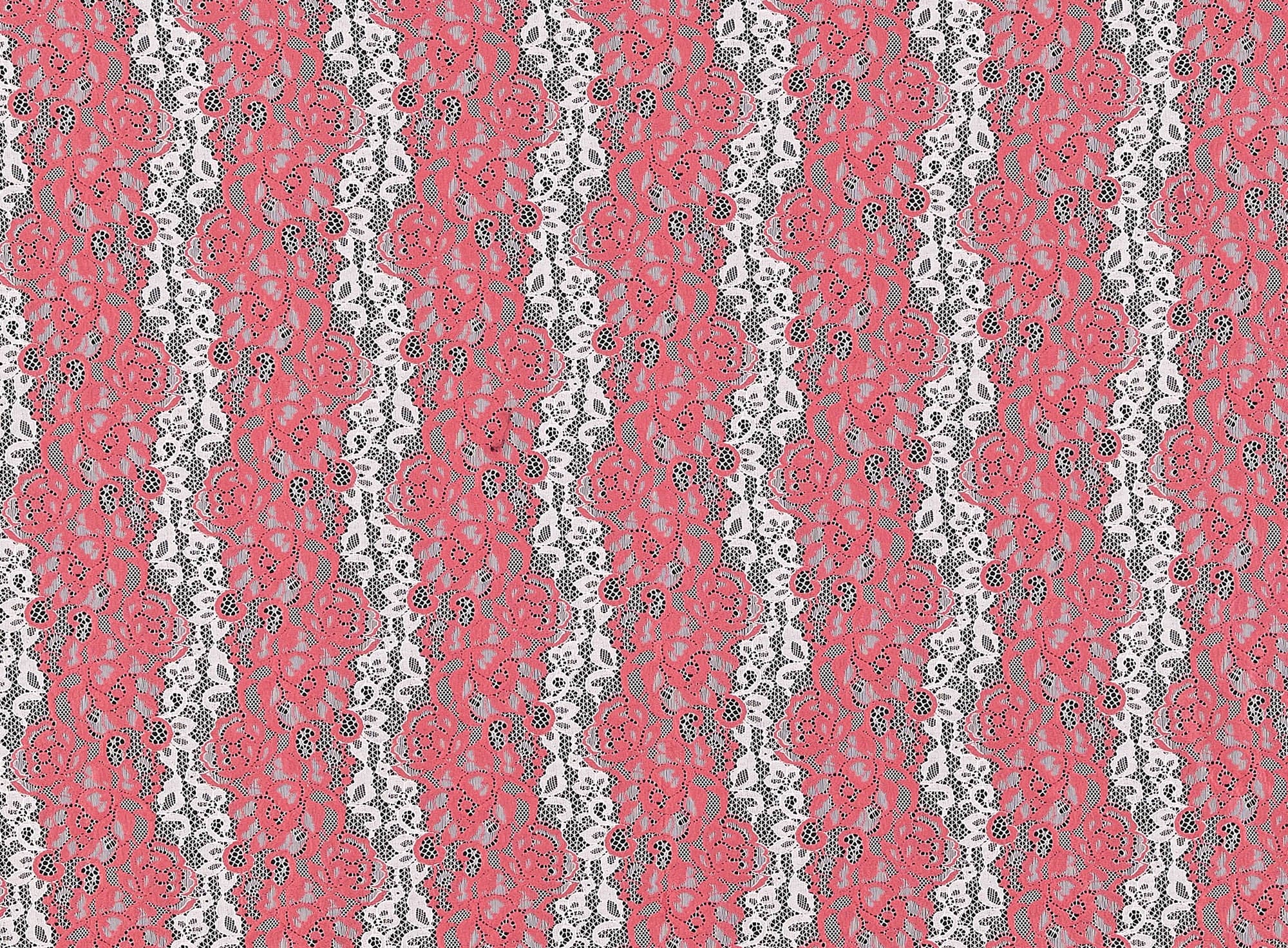 #color_ESS CORAL/SHELL DREAM