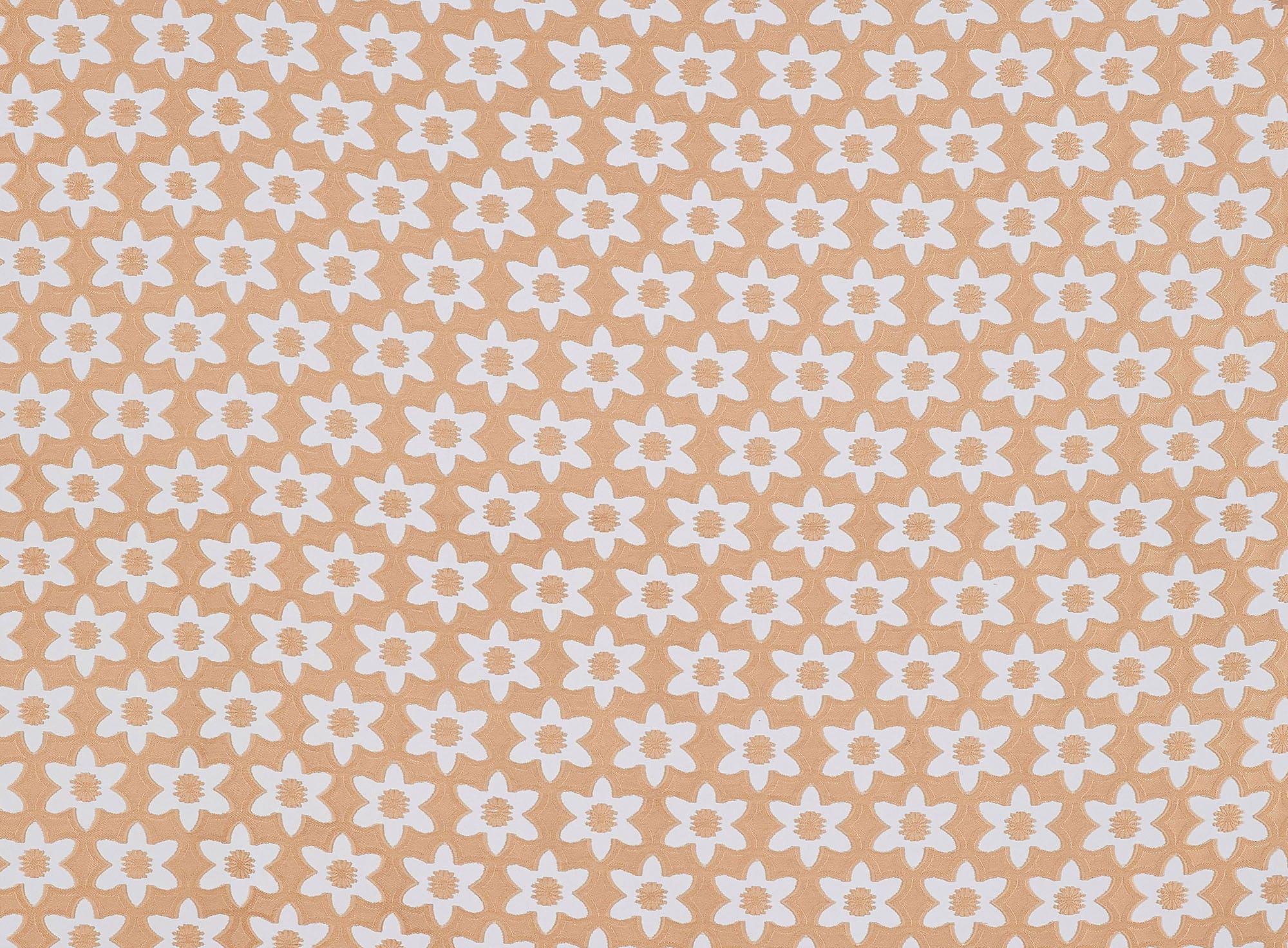 #color_TAN