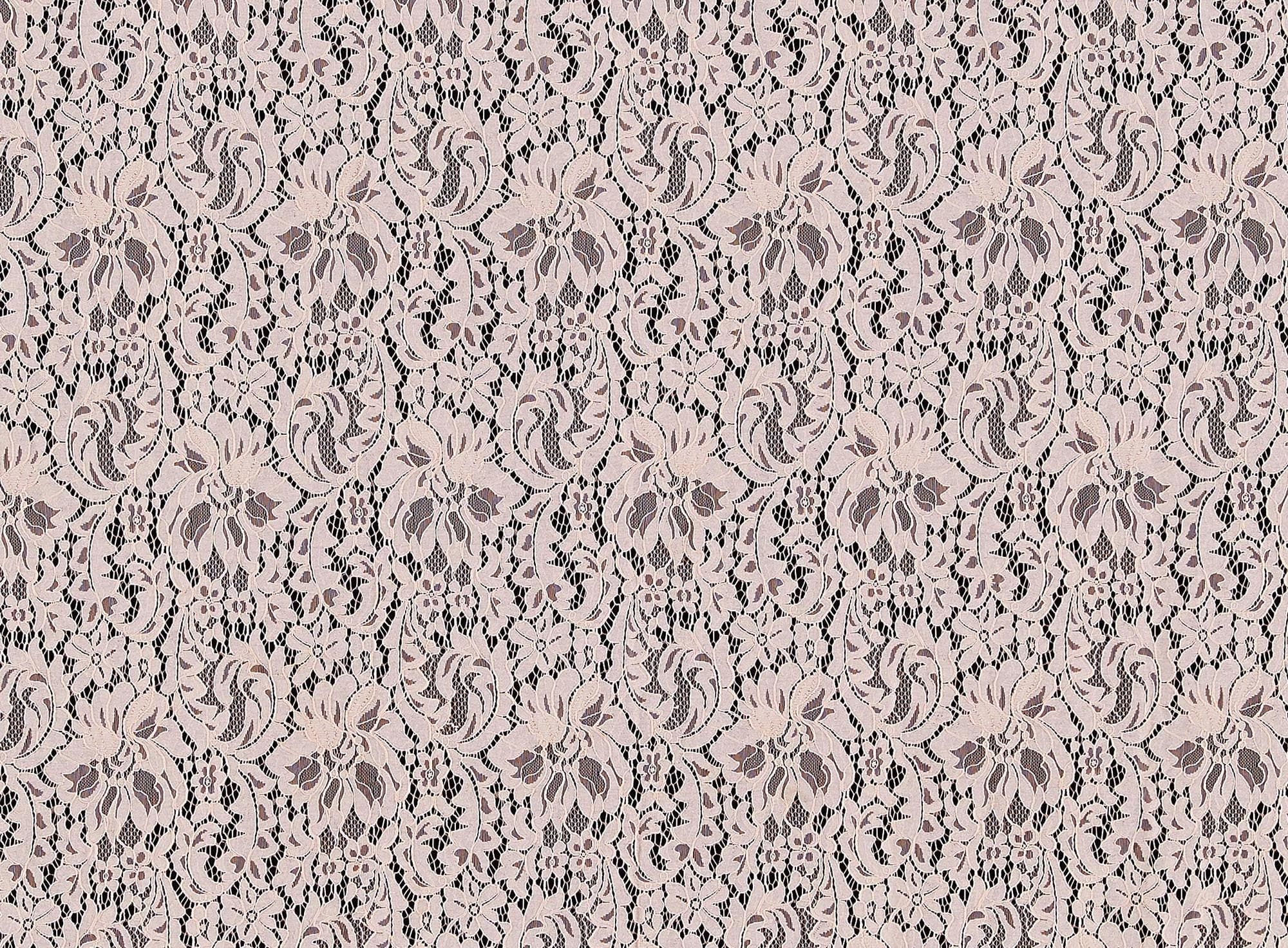 #color_DK SHELL MUSE